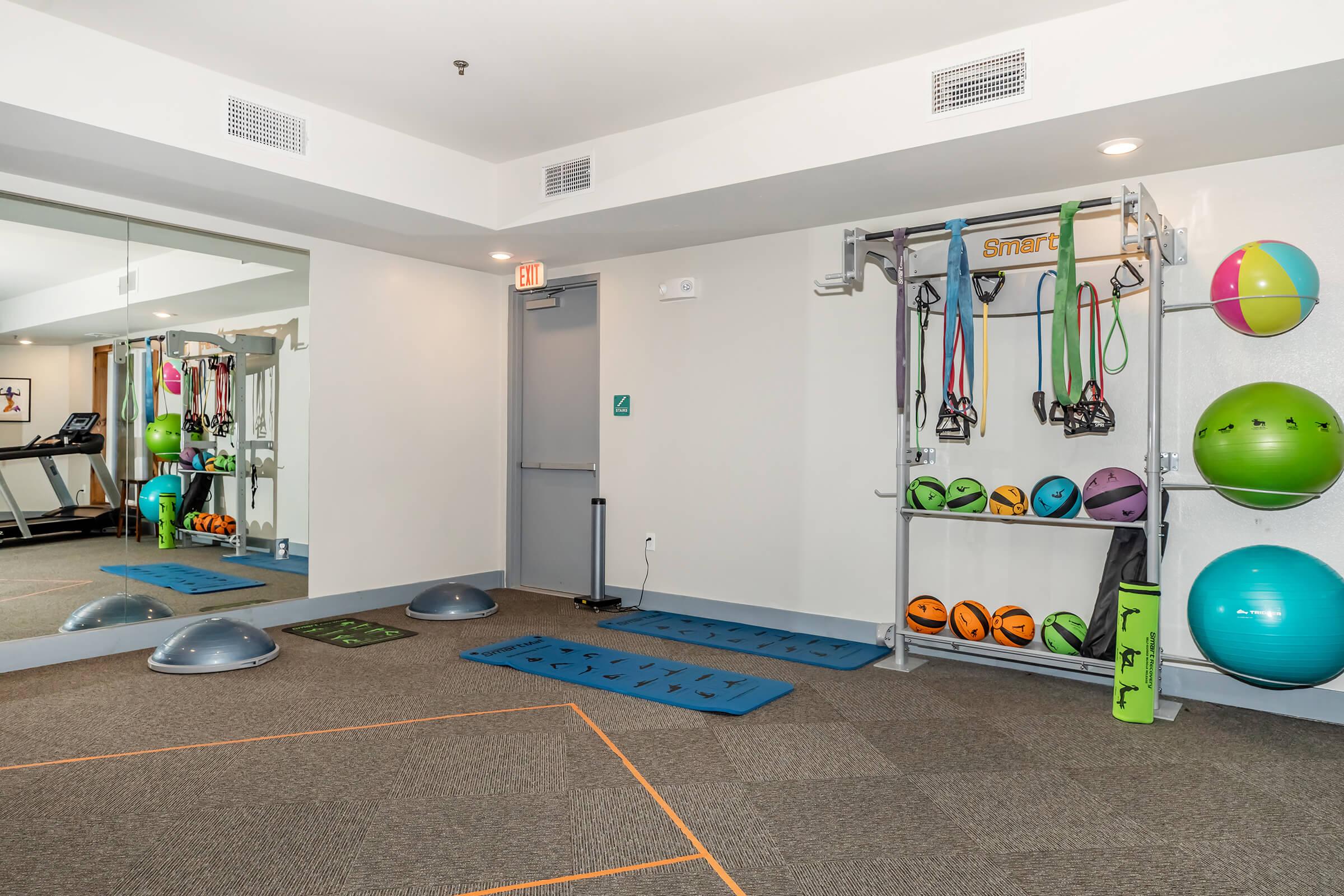 A well-equipped fitness area featuring exercise equipment like resistance bands, stability balls, and balance boards. Mirrors line one wall, and brightly colored fitness balls and weights are organized on a rack, creating a motivating workout environment.