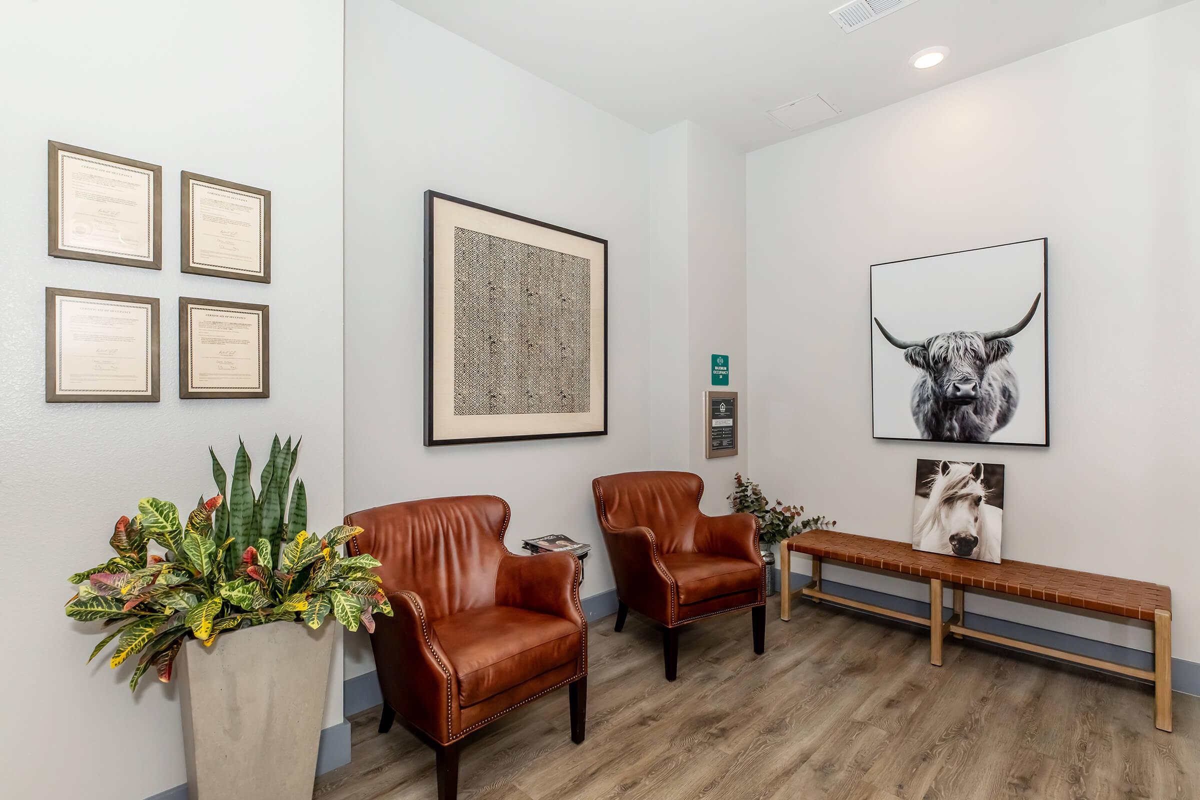A modern waiting area decoratively styled with two brown leather chairs, a wooden bench, and a tall planter featuring green plants. The walls display framed certificates, an abstract art piece, and a large black-and-white image of a bull. The flooring is light-colored wood.