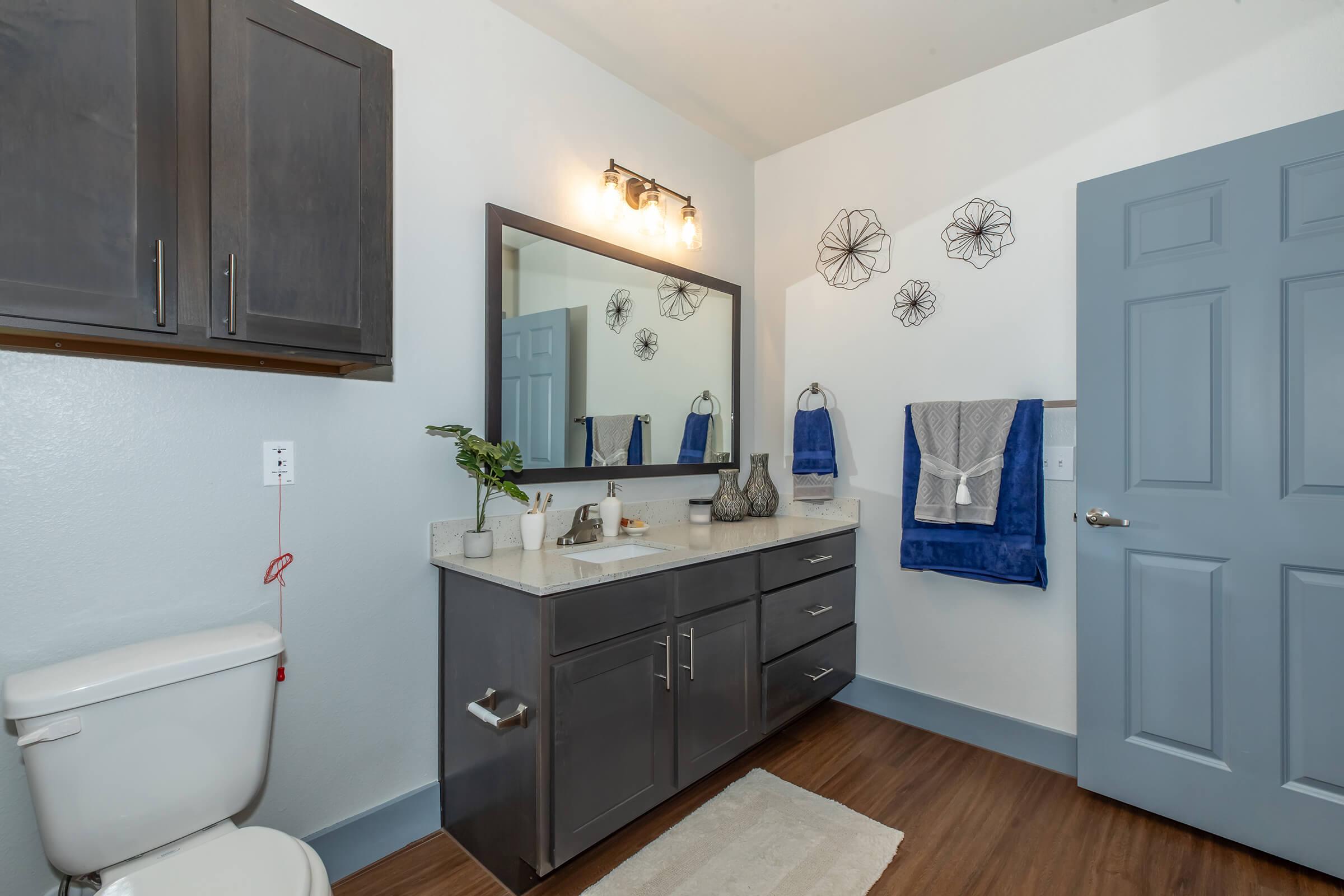 Modern bathroom featuring a gray vanity with a sink, a large mirror, and stylish wall decor. The space includes a toilet, a wooden floor, and blue towels hanging near the sink. There are also decorative elements like a small plant on the countertop, creating a clean and inviting atmosphere.