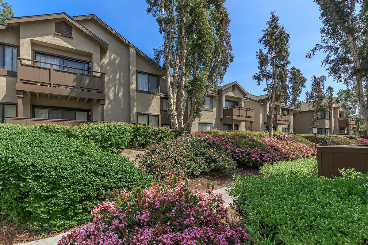 Spring Lakes Apartment Homes community building with green bushes with pink flowers