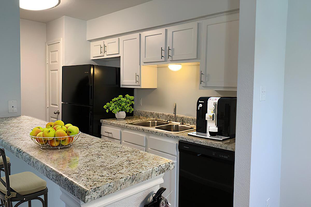 GORGEOUS KITCHEN AT THE VANDERBILT APARTMENTS