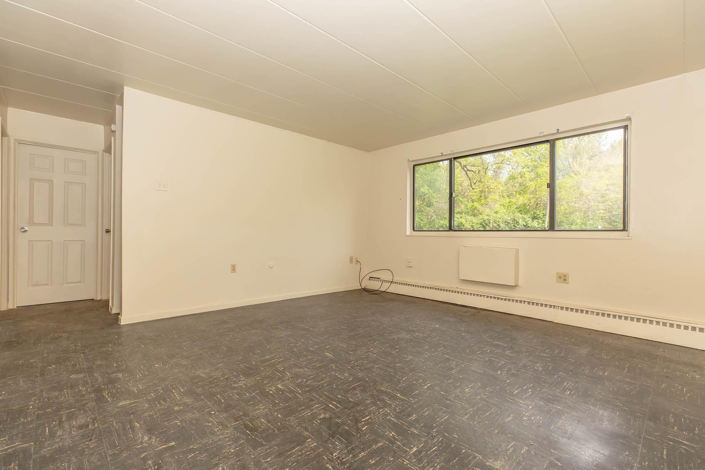 Spacious, empty room with light-colored walls and a large window offering a view of greenery outside. The floor is dark with a textured pattern, and a door is visible on the left side. There is a heating unit under the window, and the overall atmosphere is bright and airy.