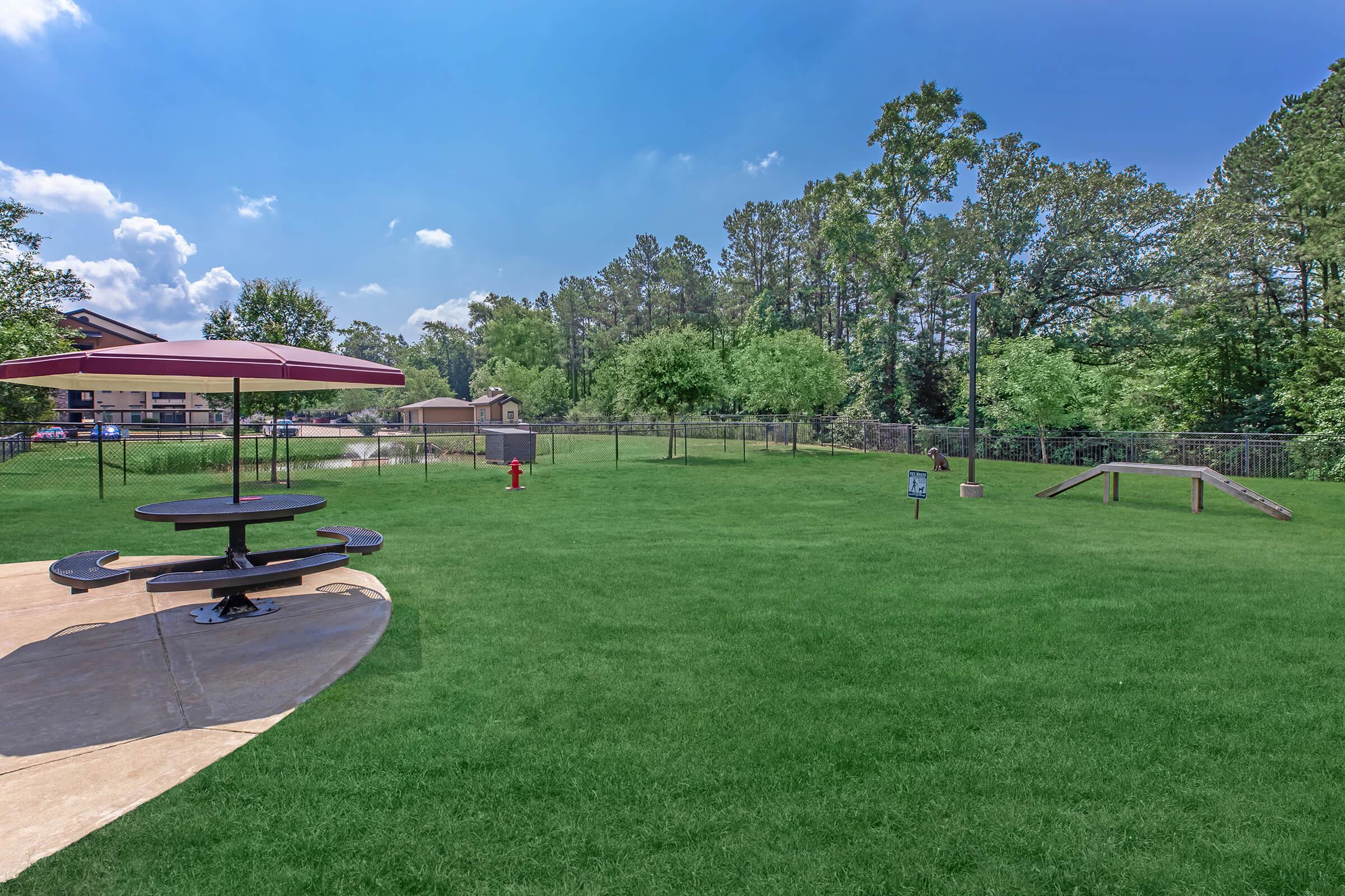 a group of people in a park