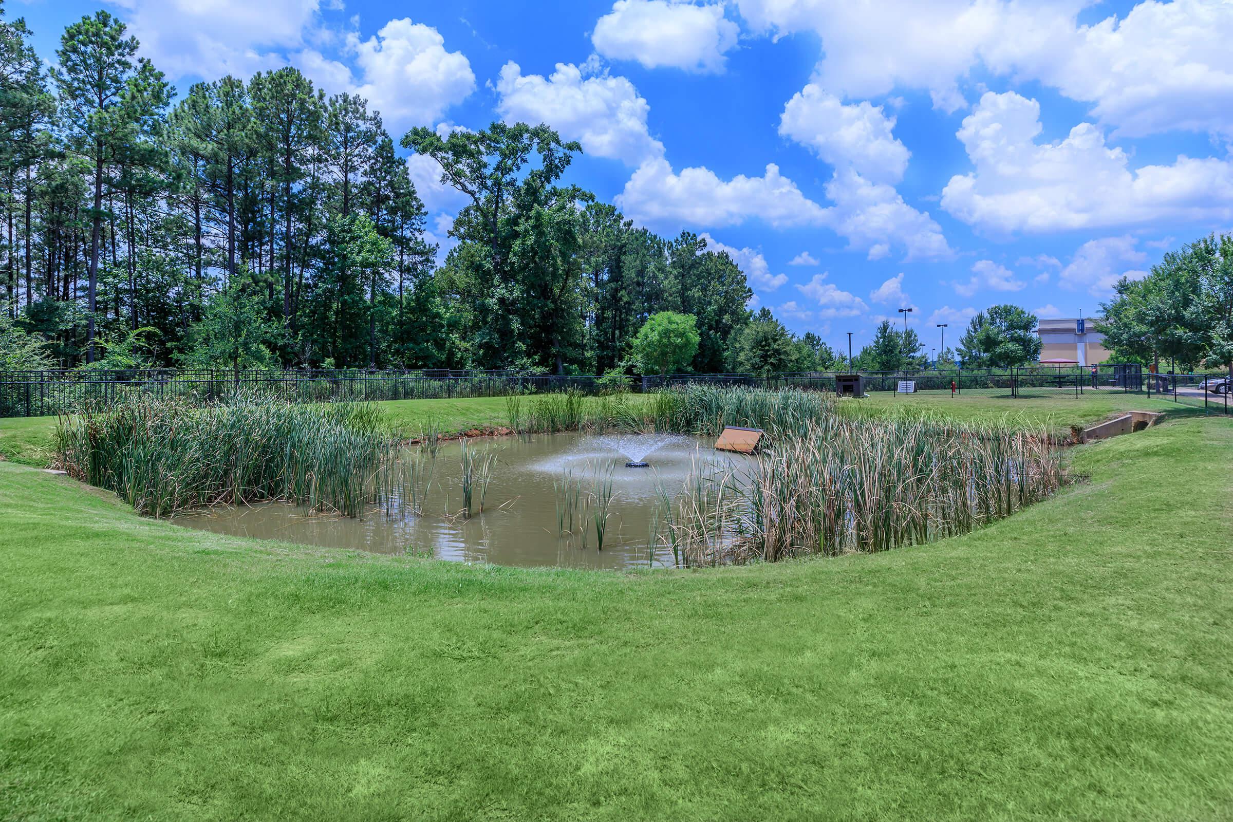 Paladin Apartments community pond