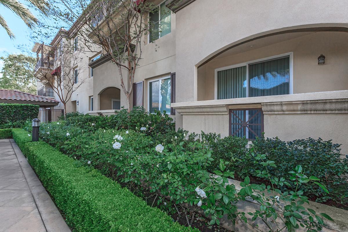 a garden in front of a building
