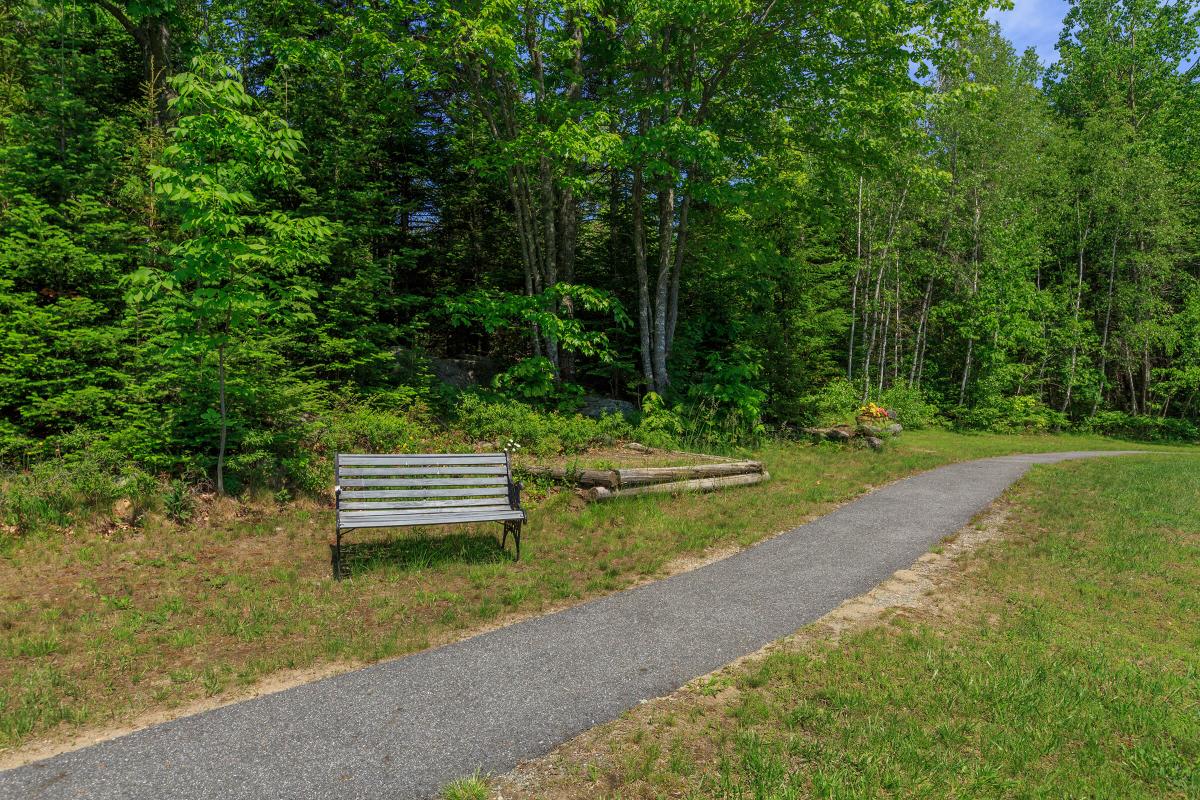 an empty park bench next to a tree