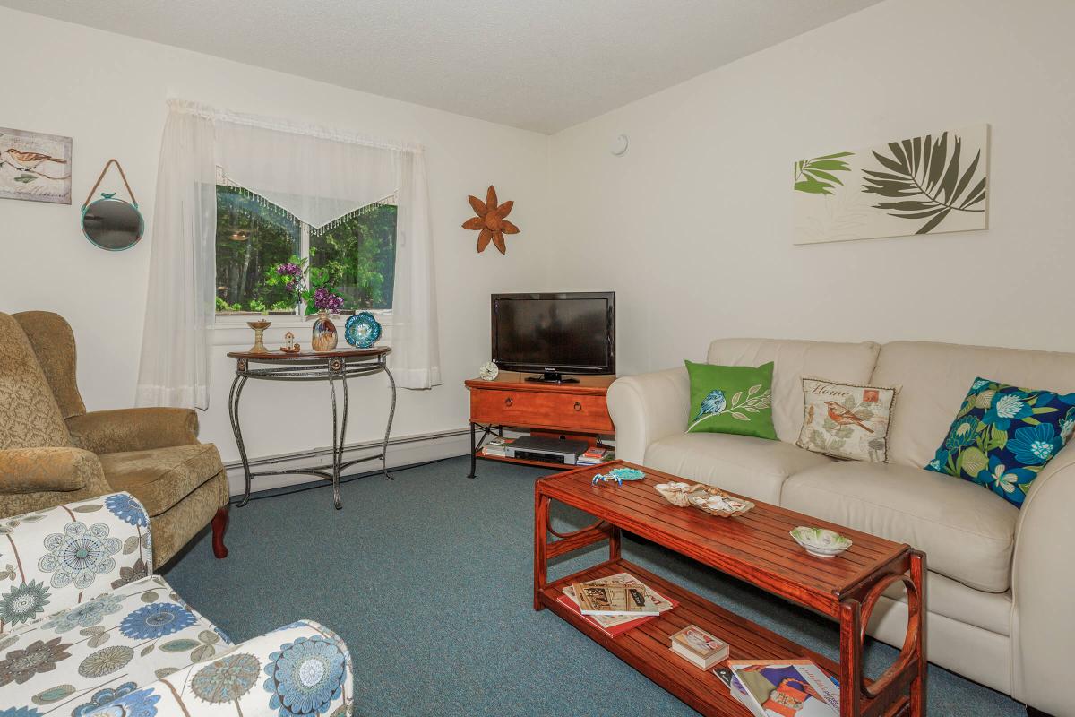 a living room filled with furniture and a rug