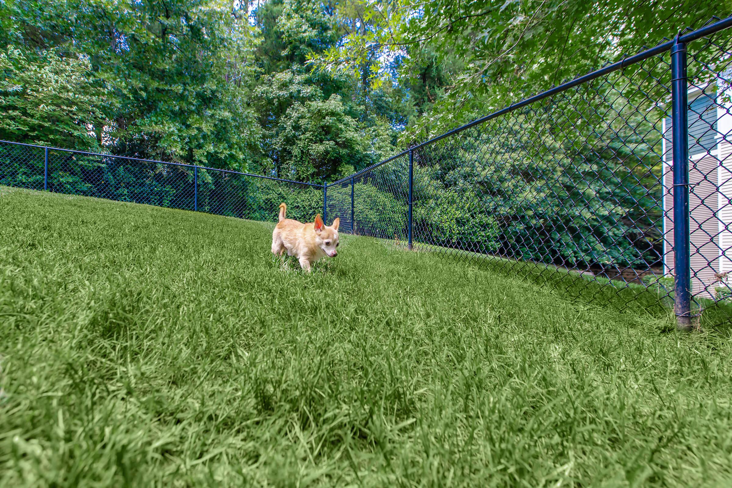We have a pet park at Whisper Creek in Rock Hill, South Carolina.
