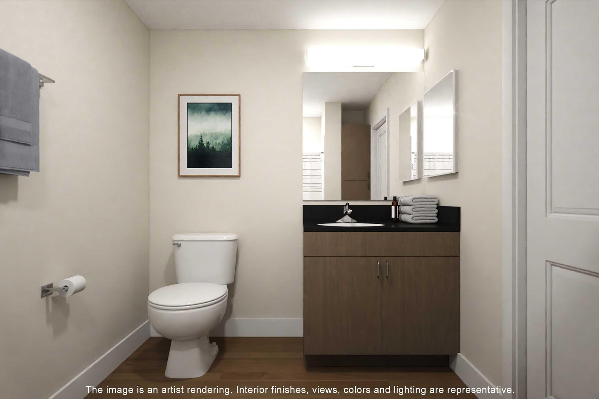 Modern bathroom design featuring a white toilet, dark countertop with a sink, wooden cabinetry, and neatly arranged towels. A framed landscape artwork hangs on the wall above the sink, illuminated by overhead lighting. The space is bright and minimalistic, with light-colored walls and wooden flooring.