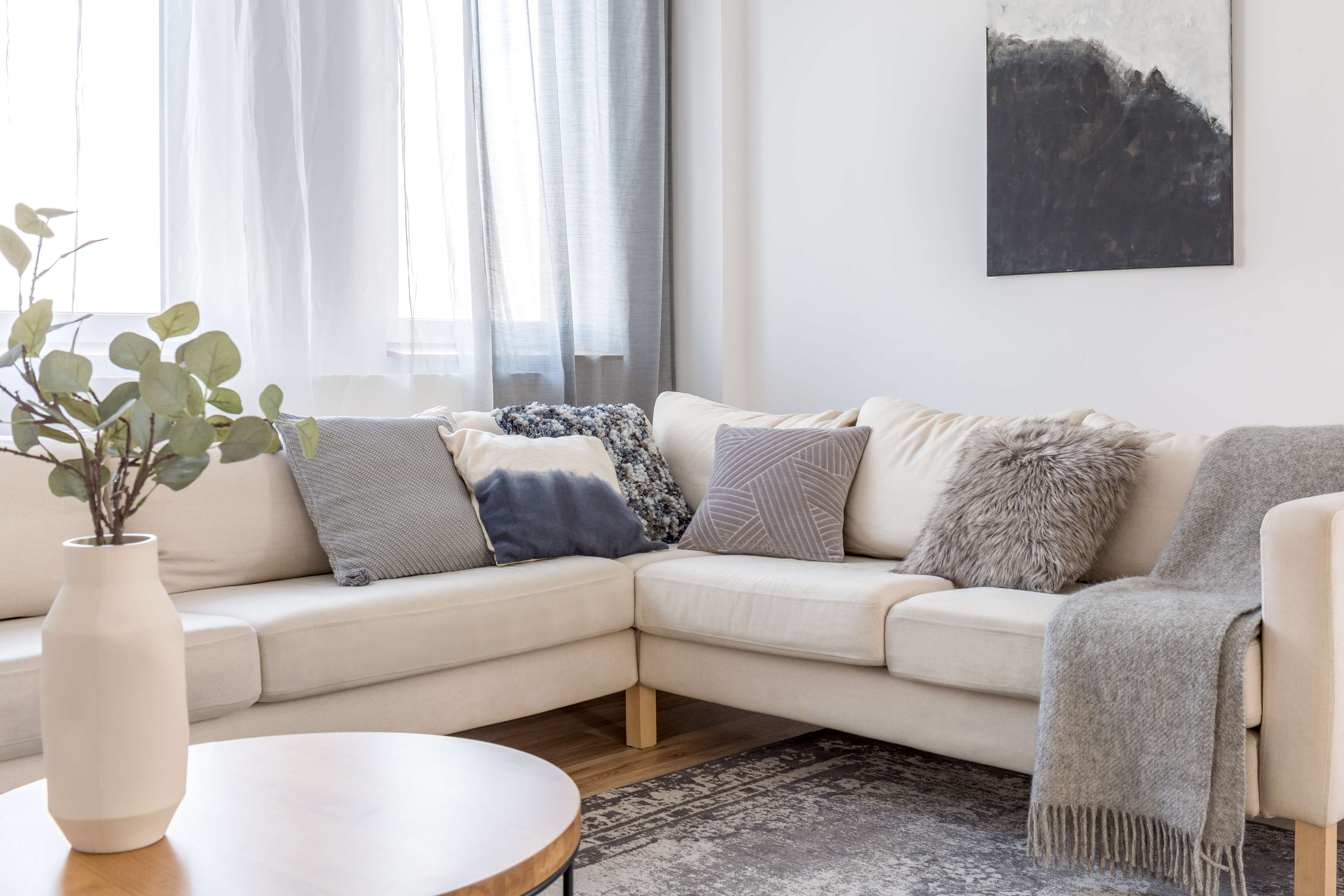 Apartment Features