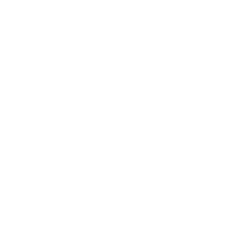 Estrella ebrochure logo