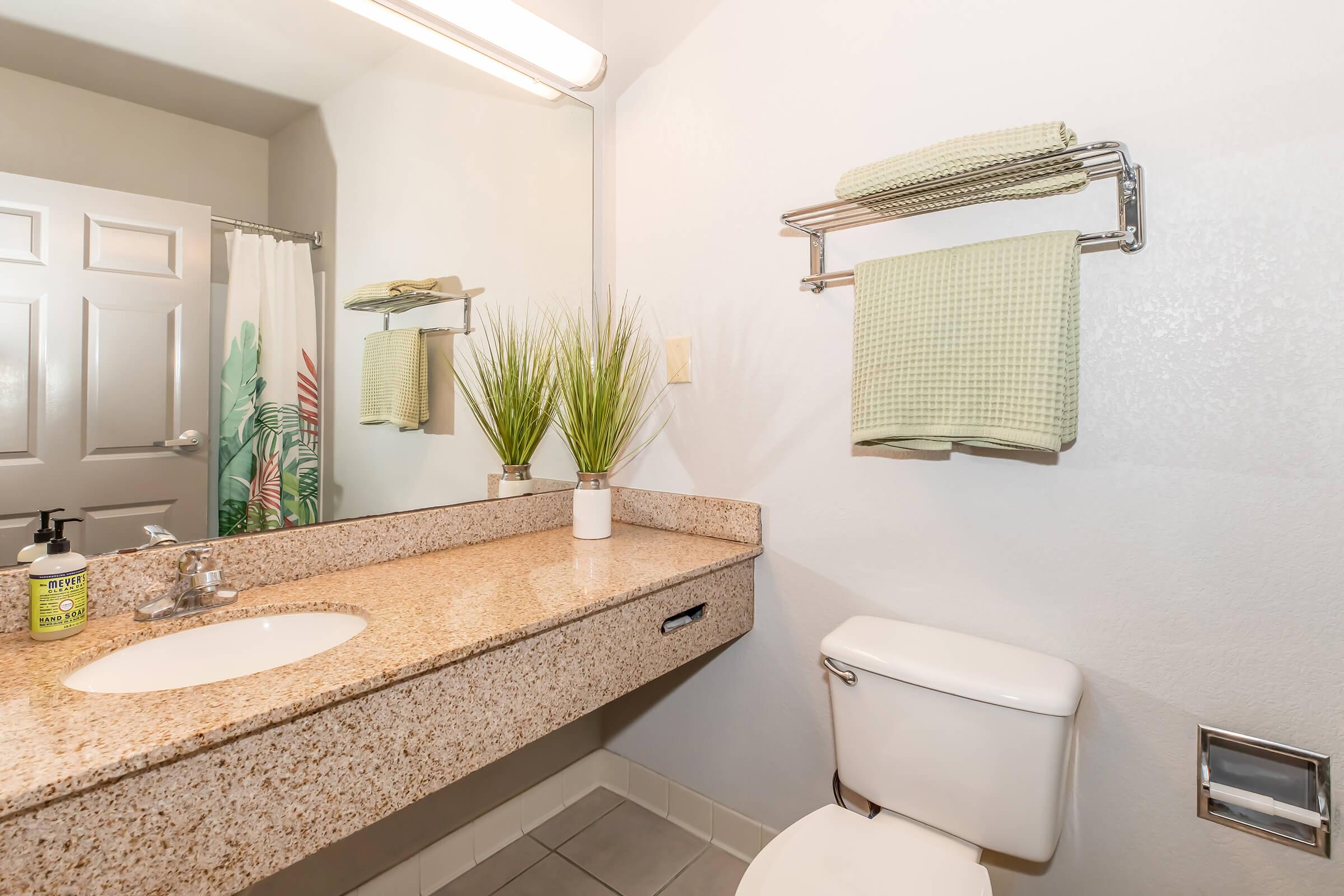 A clean and modern bathroom with a granite countertop and sink. A white toilet is positioned beside the sink. A towel rack holding two green towels is mounted on the wall, and a small potted plant adds a touch of greenery. Natural light is provided by a ceiling fixture.