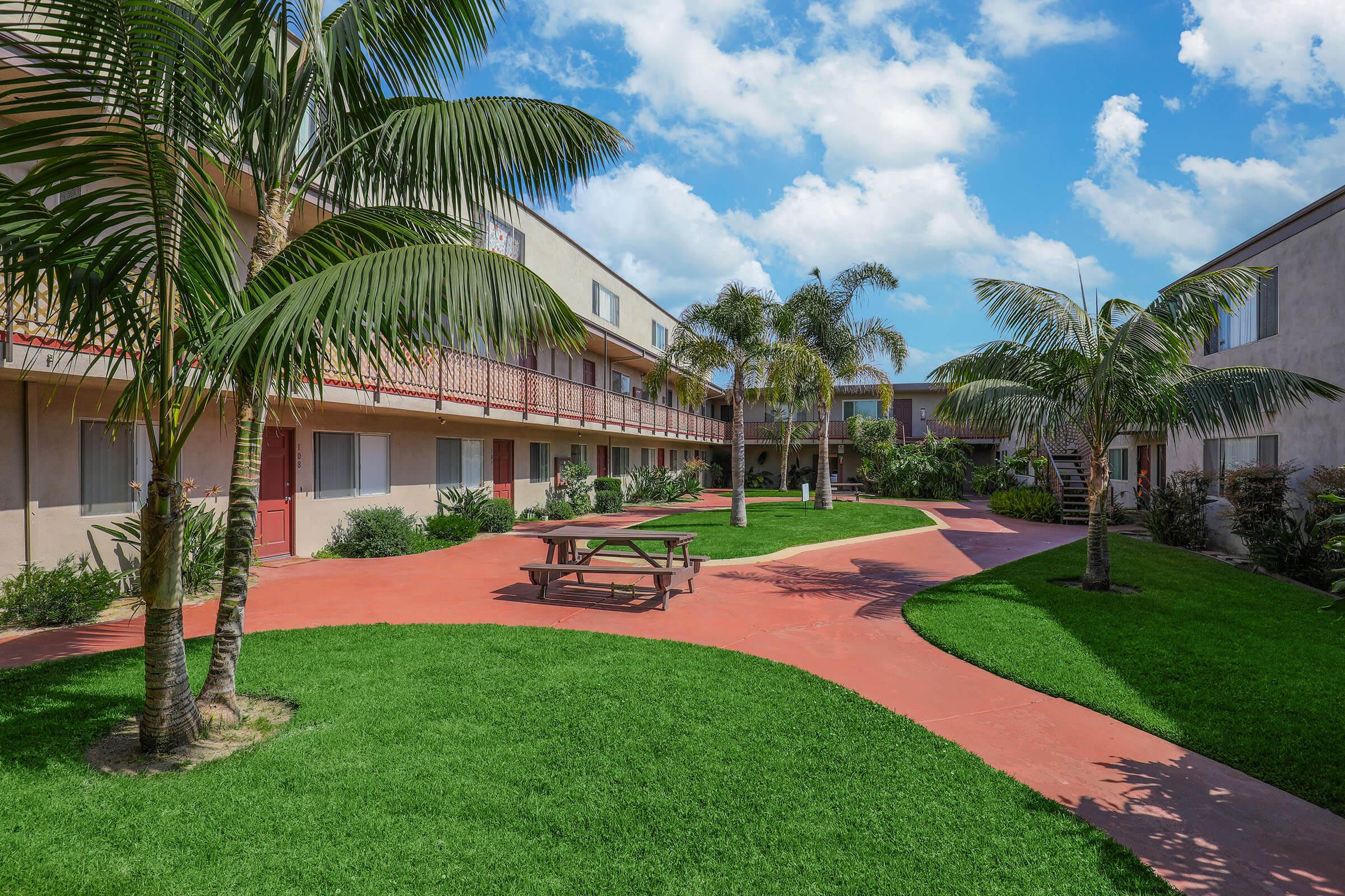 a large lawn in front of a palm tree