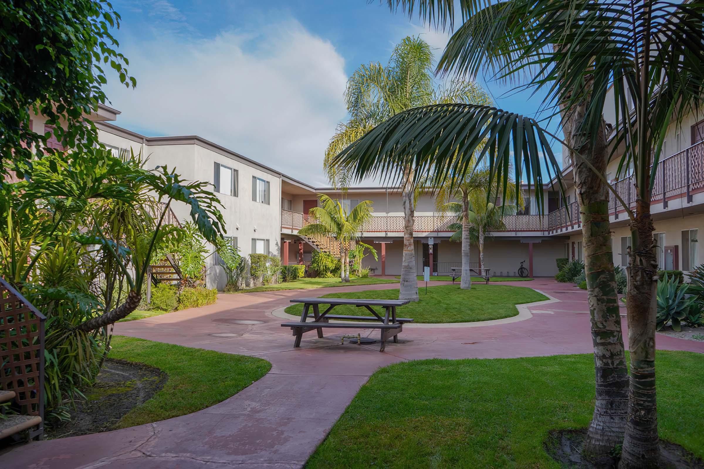 a bench next to a palm tree in front of a house