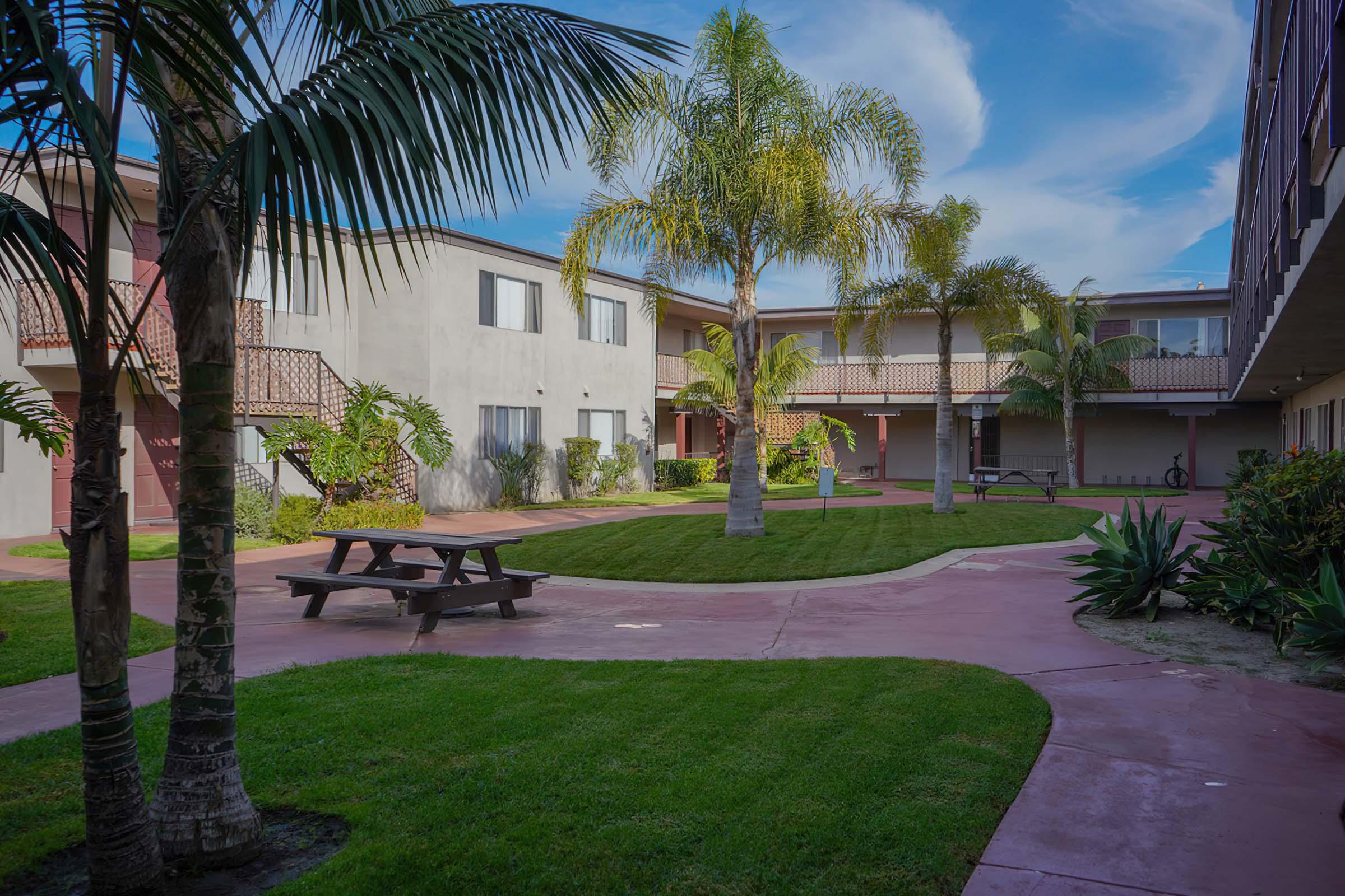 a palm tree in front of a house