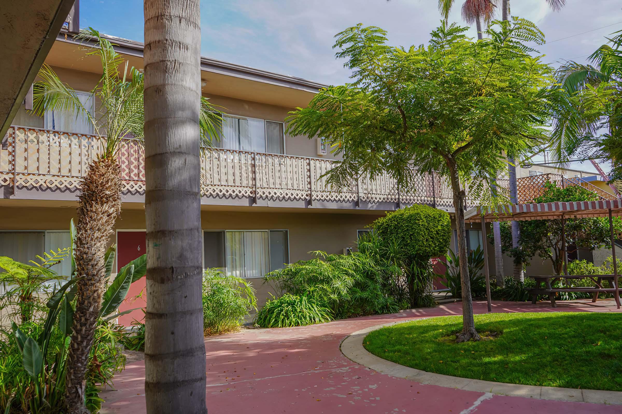 a palm tree in front of a building