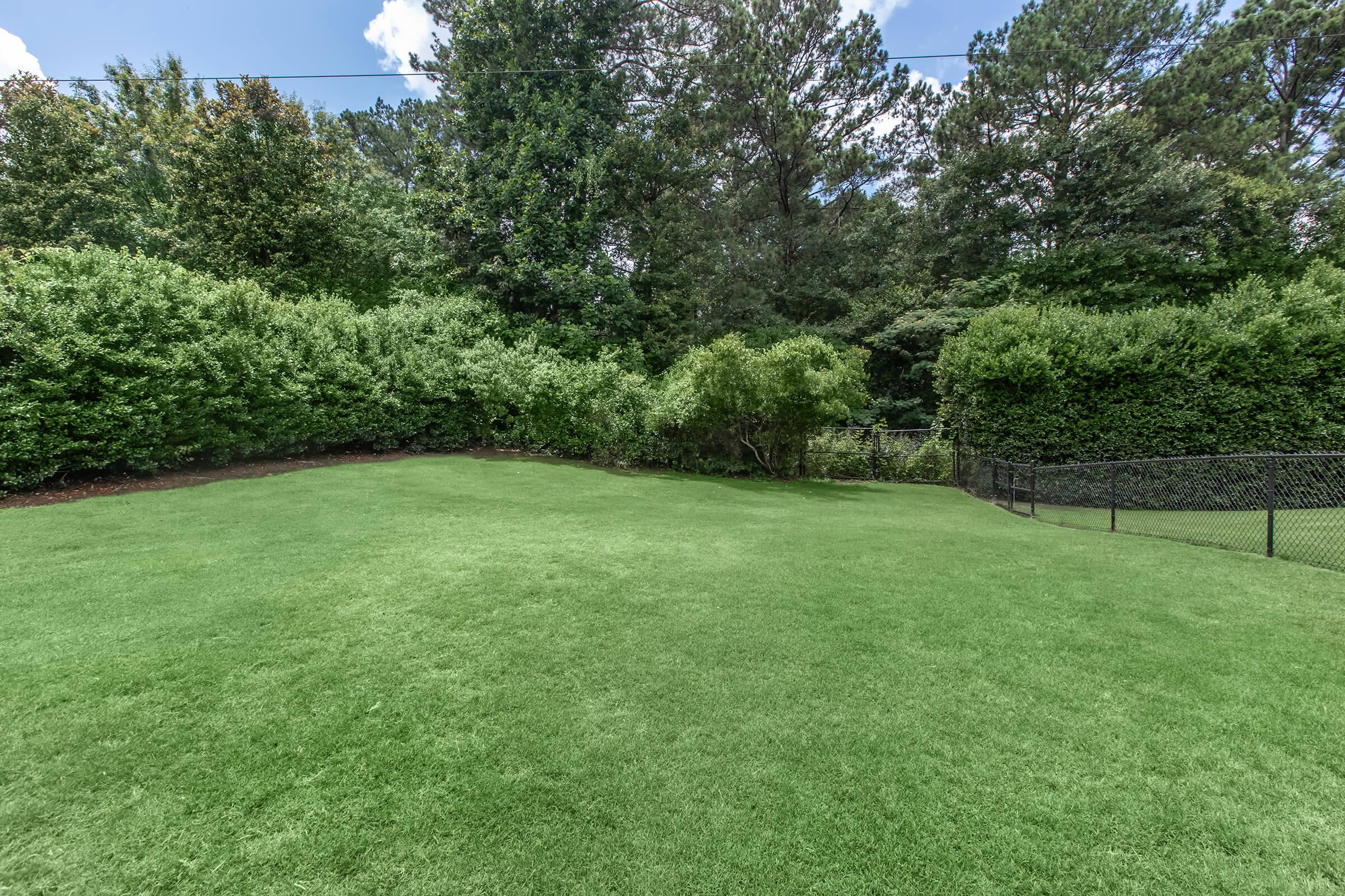 A lush green backyard featuring a well-manicured lawn surrounded by tall hedges and trees. The area is enclosed with a black chain-link fence. Soft sunlight casts gentle shadows on the grass, creating a serene outdoor environment.