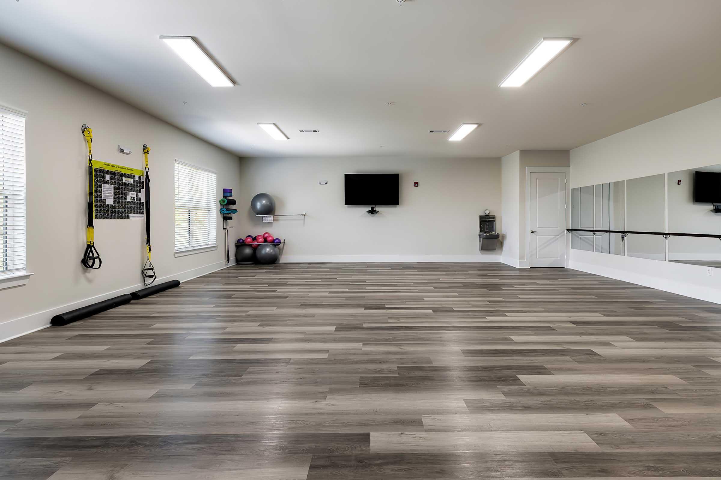 Spacious fitness room with wooden flooring, featuring exercise equipment including stability balls, wall-mounted fitness accessories, a large mirror, and a TV. Natural light is coming through the windows.