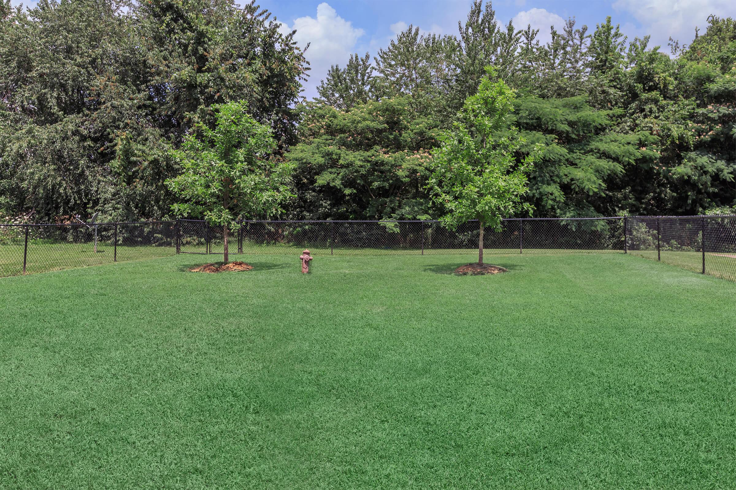 a group of people standing on a lush green field