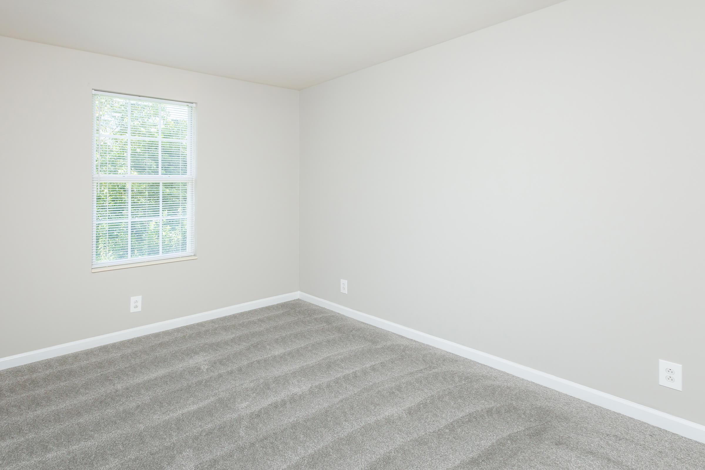 Mini Blinds at SummerTrees Apartments