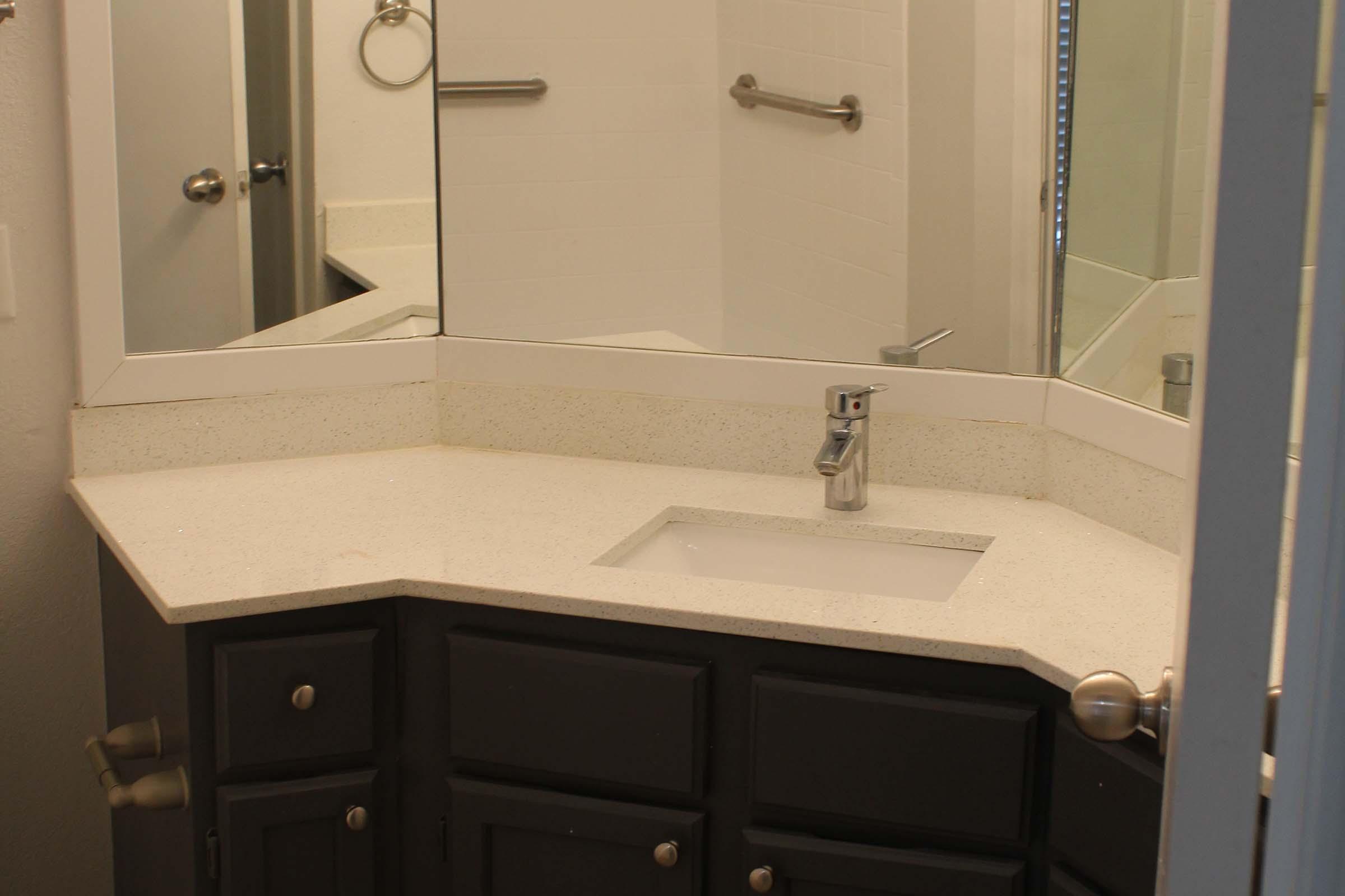A modern bathroom sink area featuring a clean, white countertop with an integrated sink, dark cabinetry, and a large wall mirror. The space is well-lit and includes a towel rack and grab bars. The overall design is contemporary and functional.
