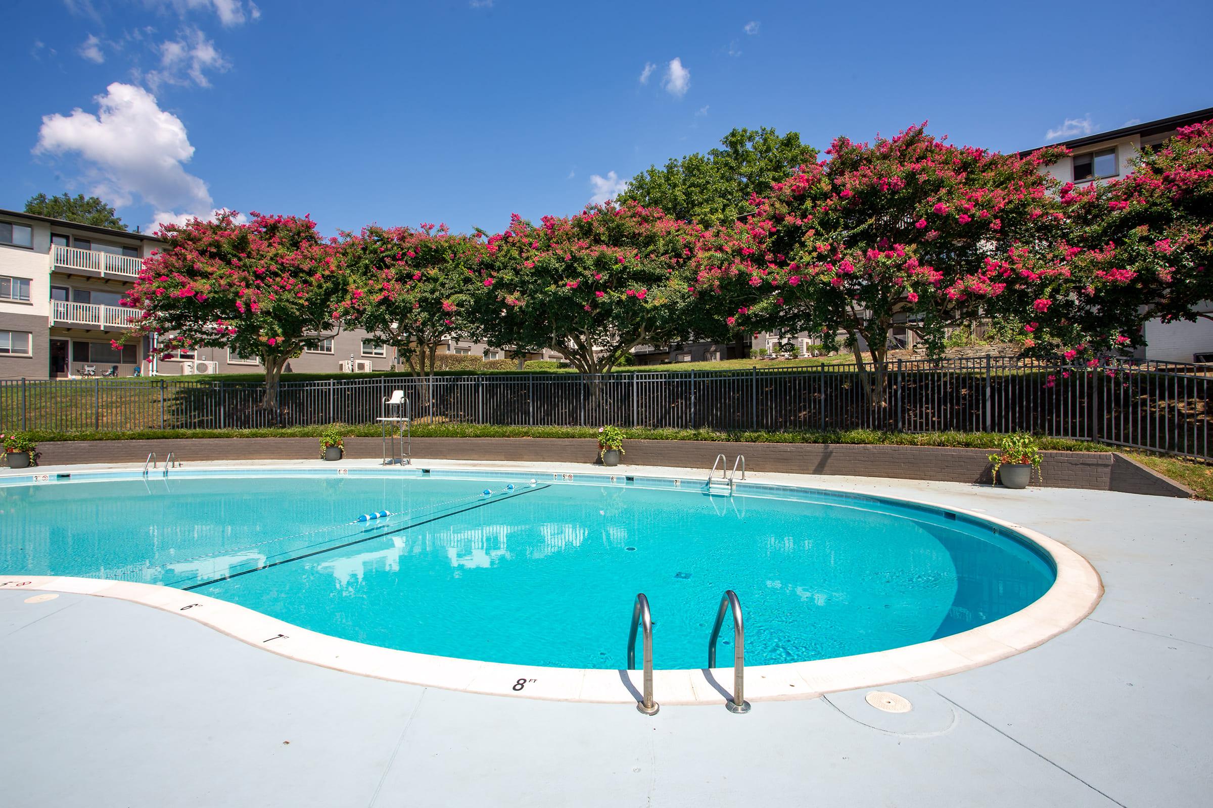 a large pool of water