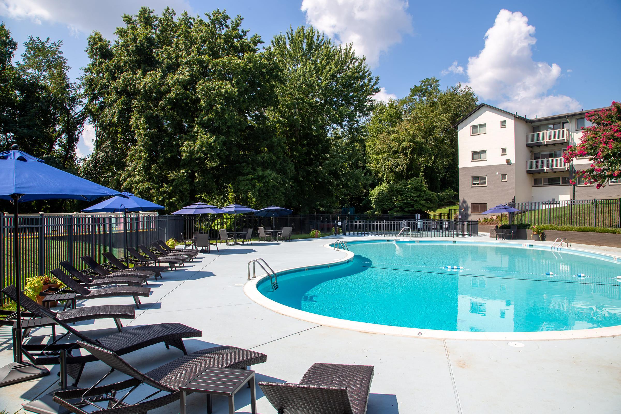 a row of lawn chairs sitting next to a pool of water