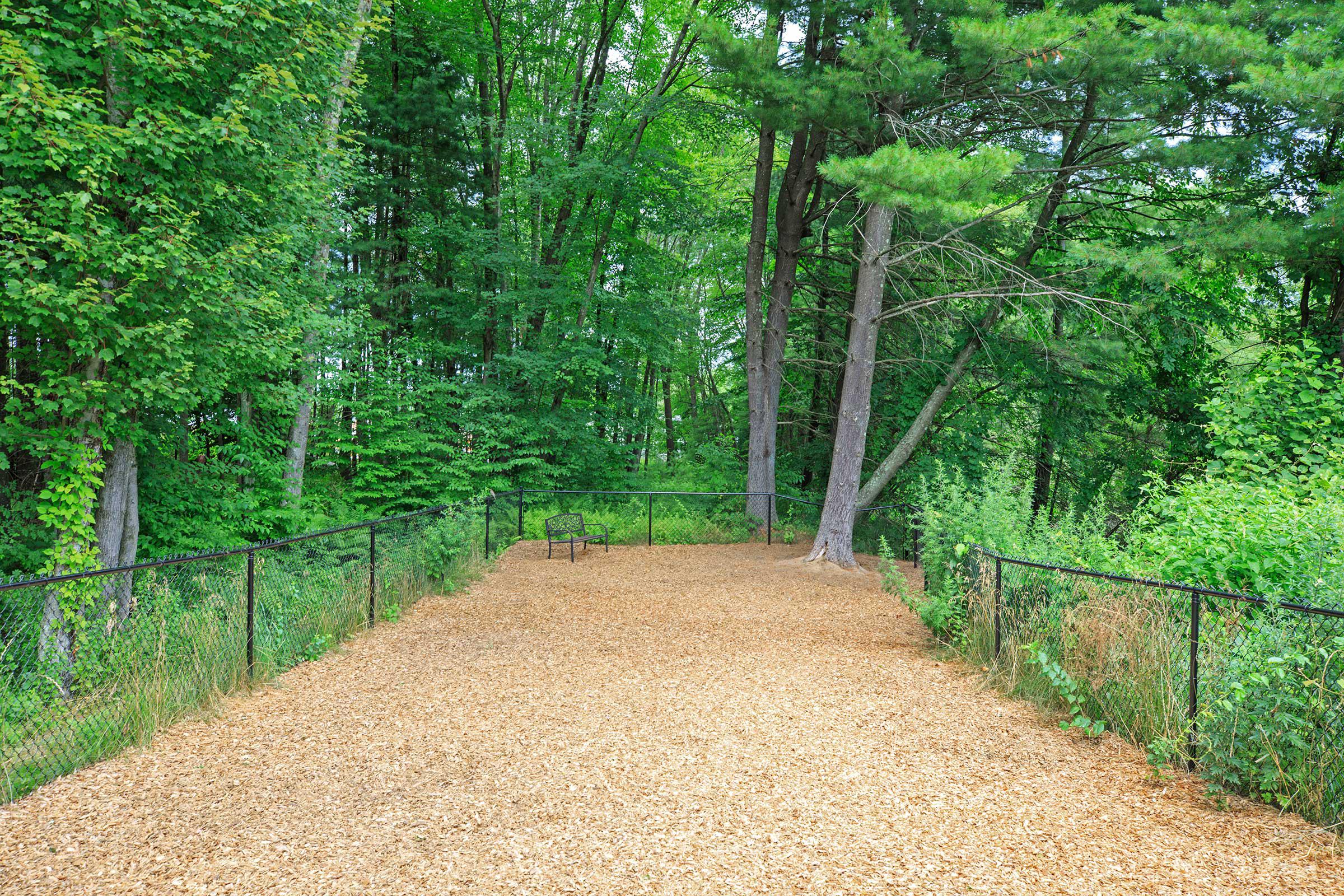 a tree in a fenced in area