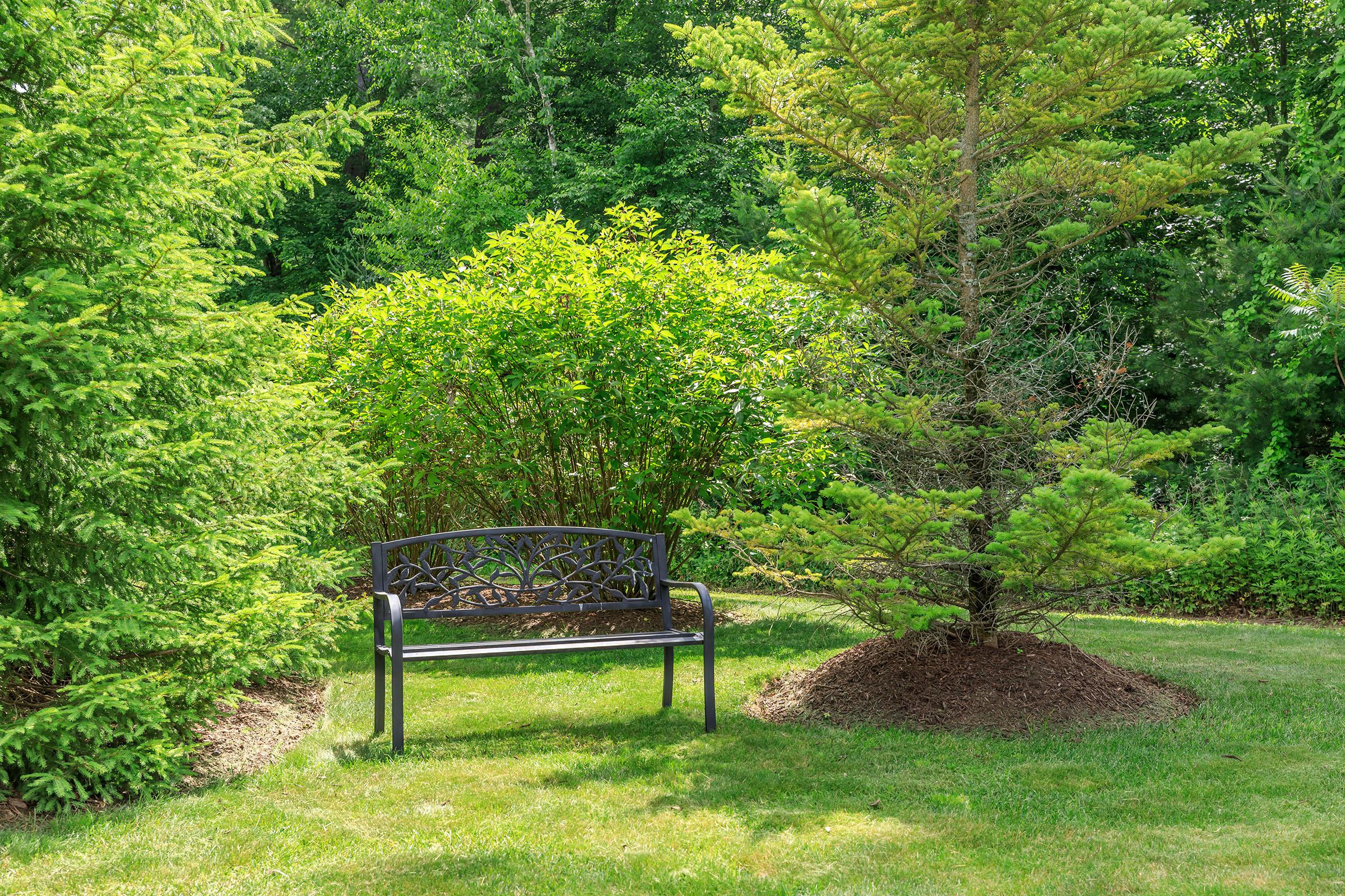 LUSH GREEN LANDSCAPING AT MILL COMMONS