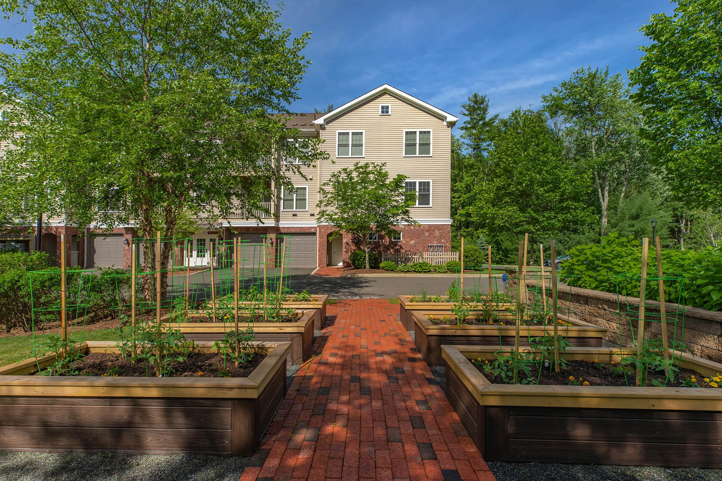 COMMUNITY GARDEN AT MILL COMMONS