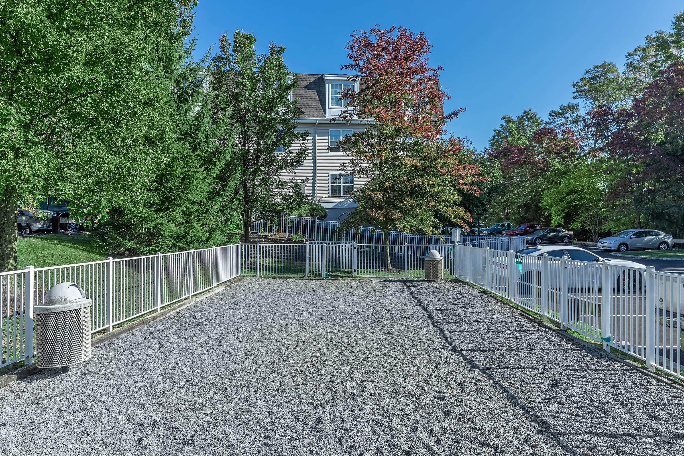 a gate in front of a tree