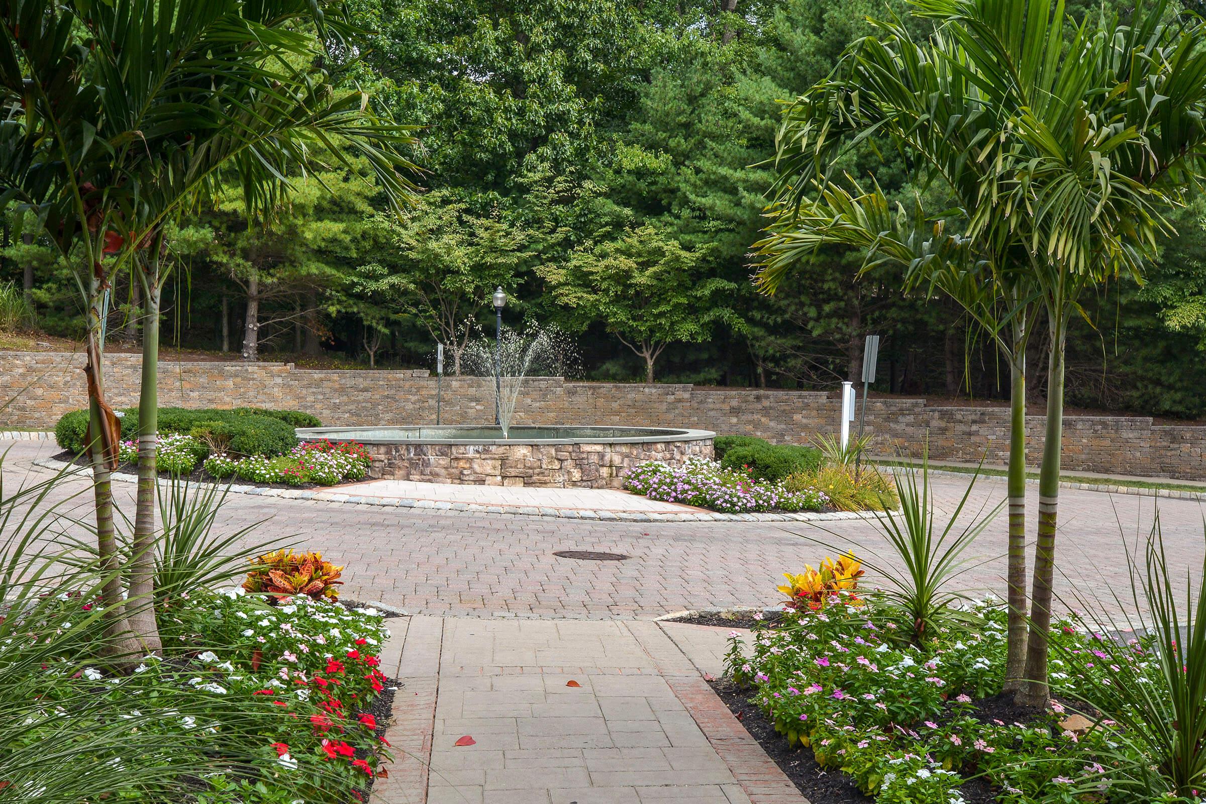 a close up of a flower garden