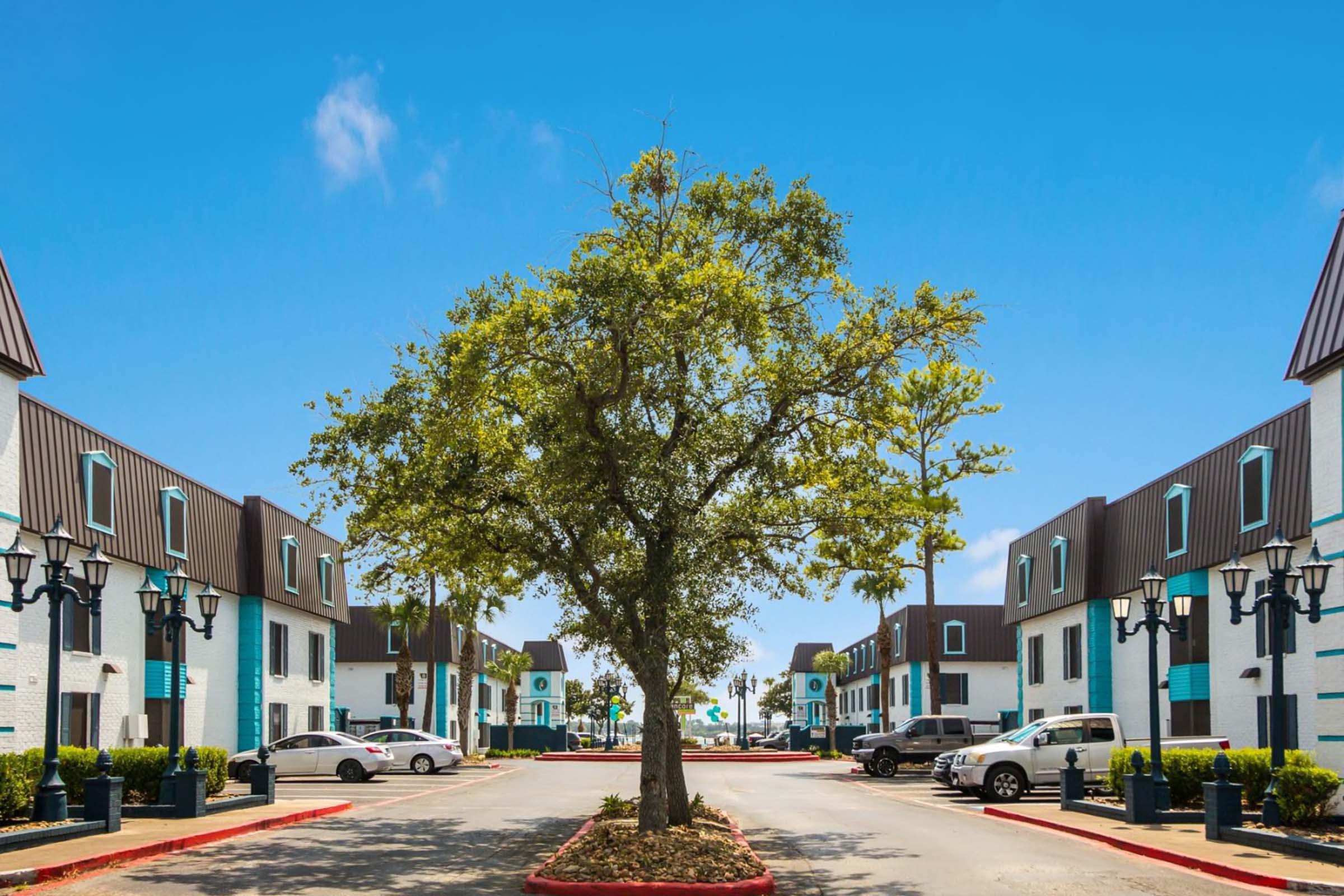 A vibrant courtyard with a large tree in the center, flanked by two rows of modern buildings. The buildings feature white exteriors with dark roofs and blue accents. Parked cars are visible along the pathway, and a clear blue sky serves as the backdrop.