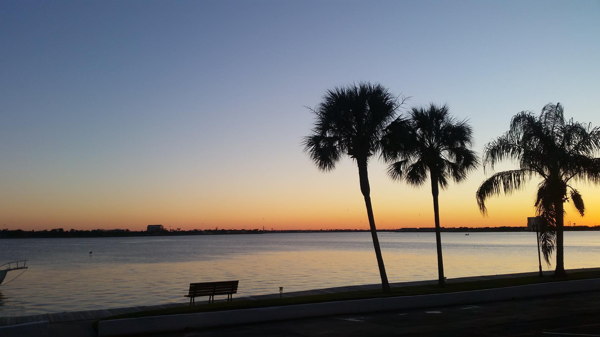 A tranquil lakeside scene during sunset, featuring silhouettes of palm trees against a gradient sky of orange and blue. A wooden bench sits near the water's edge, and the calm surface of the lake reflects the colors of the sky, creating a serene atmosphere.