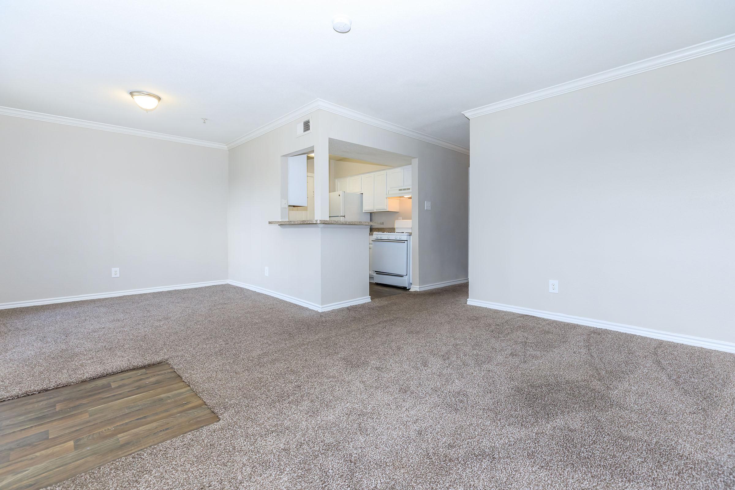 Spacious, empty living area featuring plush carpet flooring, light beige walls, and a ceiling light fixture. An open concept leads to a kitchen area with white cabinetry and appliances. Natural light brightens the space, creating a welcoming atmosphere.