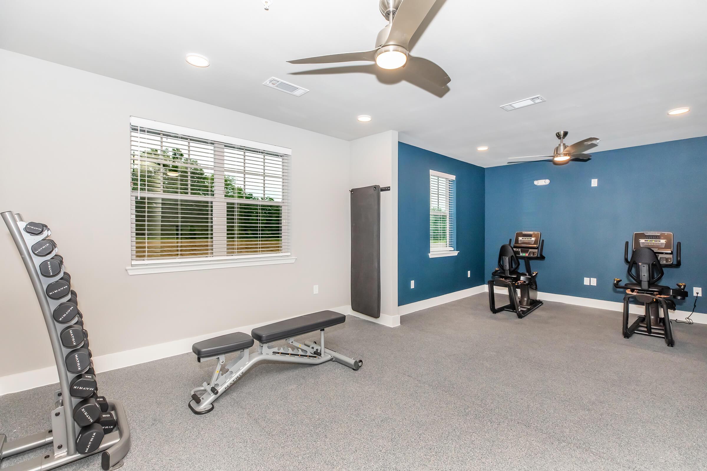 A modern gym interior featuring a weight bench, two exercise machines, and a scenic view through large windows. The walls are painted in light and dark blue shades, and there are ceiling fans for ventilation. The flooring is carpeted, creating a comfortable workout environment.