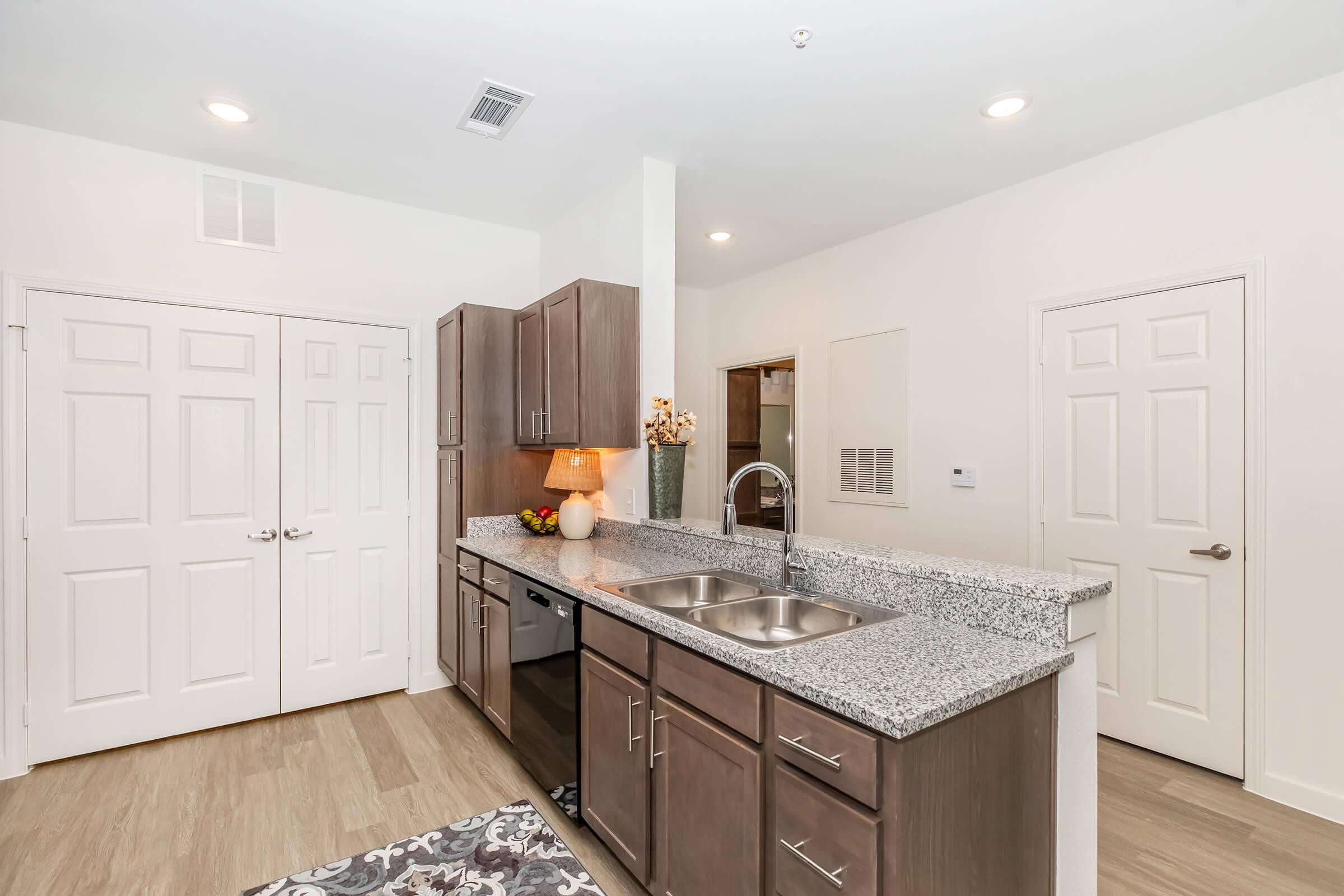 A modern kitchen with granite countertops, dark wooden cabinets, and stainless steel appliances. The sink is centrally located with a faucet. There’s a warm lamp on the counter and a decorative plant. Two white doors are visible on the left, and the flooring is a light wood finish.