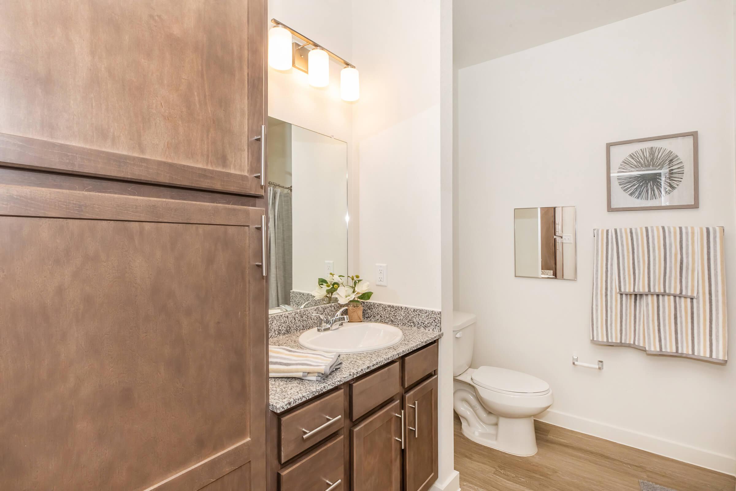 A modern bathroom featuring wooden cabinetry, a granite countertop with a sink, a mirror, and a wall-mounted towel rack. The decor includes a small plant on the countertop and a framed artwork on the wall. There's a toilet in the corner and light-colored walls, creating a clean and inviting atmosphere.
