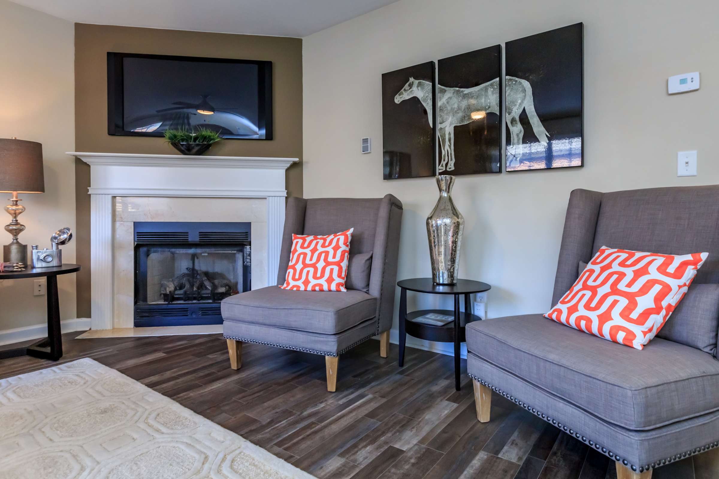 Apartment Features