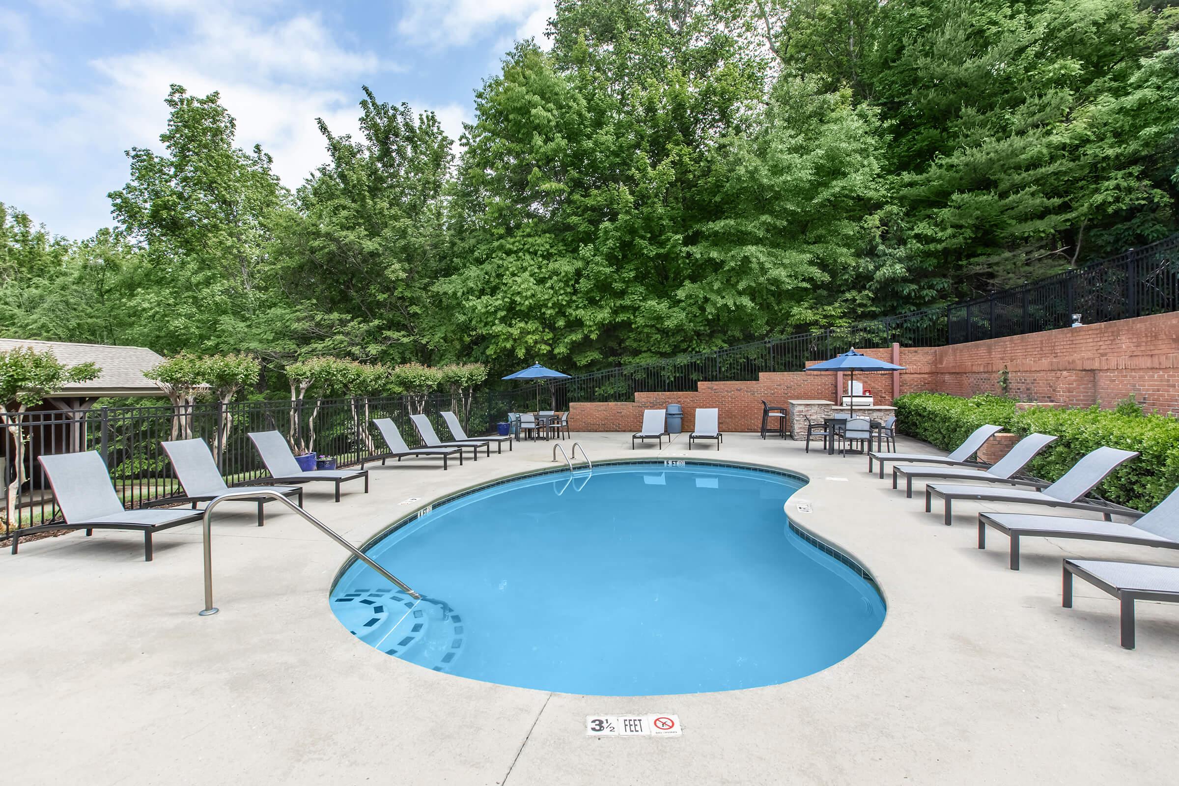 A small, inviting swimming pool surrounded by lounge chairs and umbrellas, set in a lush green landscape. The pool features a curved shape and steps for entry, with trees providing shade and a peaceful atmosphere. Ideal for relaxation and leisure.