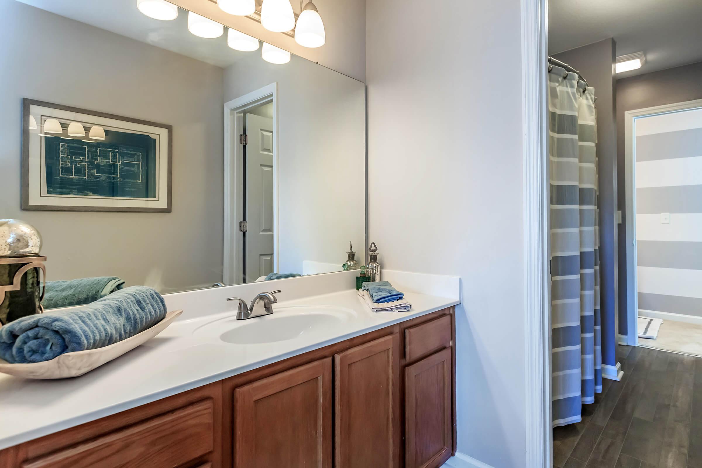 Contemporary Bathroom at Bluff View at Northside Apartments