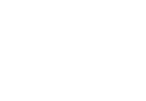 Bluff View at Northside Apartments ebrochure logo