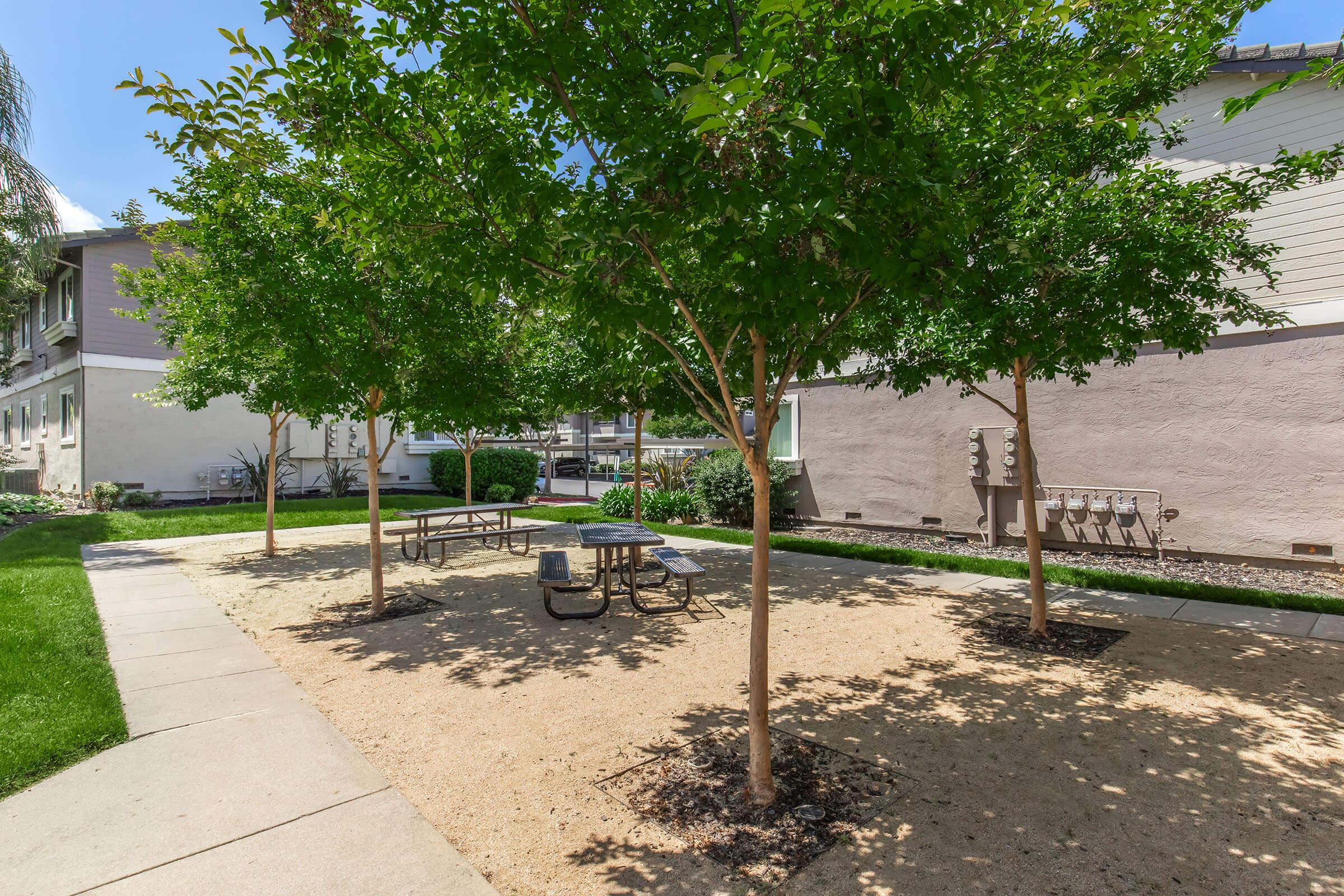A small outdoor courtyard featuring several trees providing shade, along with picnic tables and benches situated on sandy ground. Grass borders the area, with residential buildings visible in the background. The setting is bright and inviting, ideal for relaxation or gatherings.