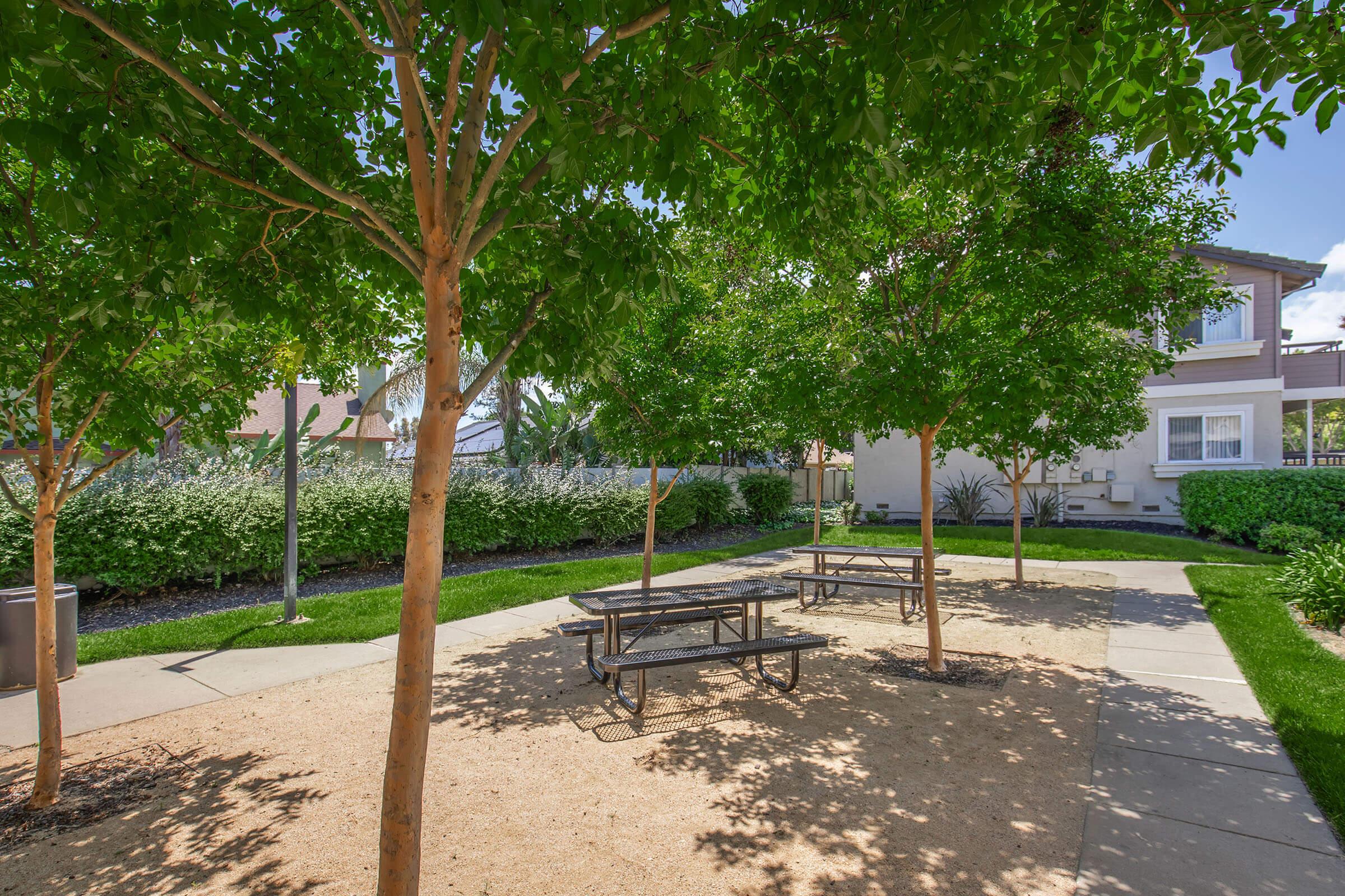 A serene outdoor park area featuring several small, shaded trees and picnic tables on a sandy ground. Lush green shrubs line the background, and a well-maintained pathway runs through the space, inviting leisure and relaxation. The sky is bright with scattered clouds, enhancing the peaceful atmosphere.