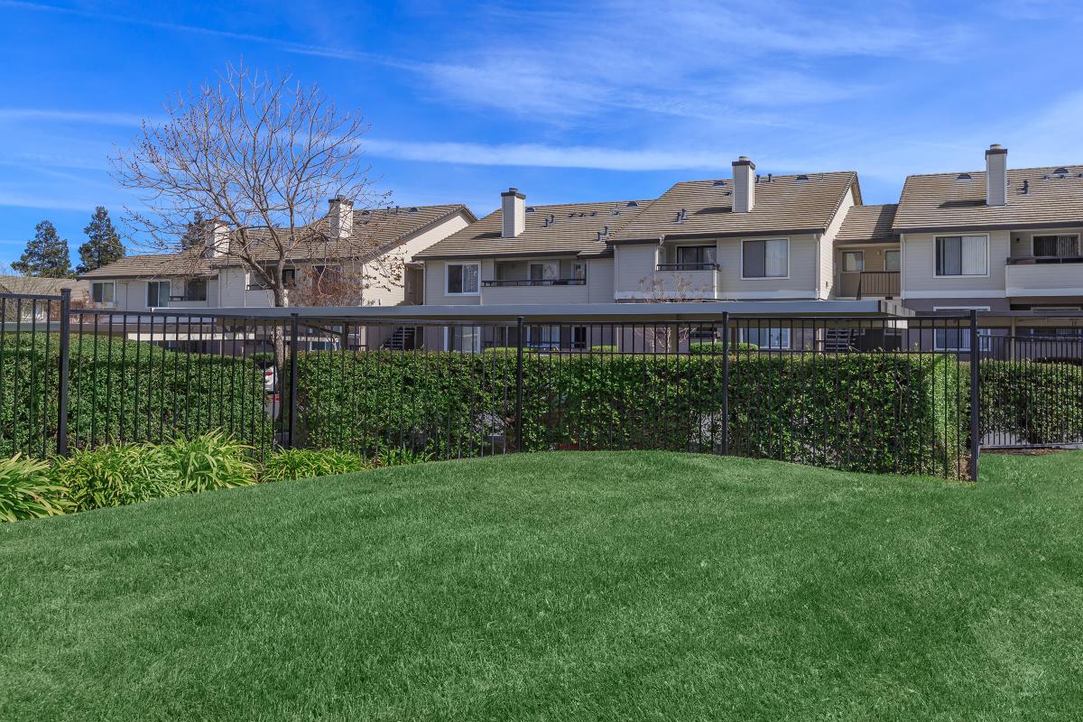 a large lawn in front of a building