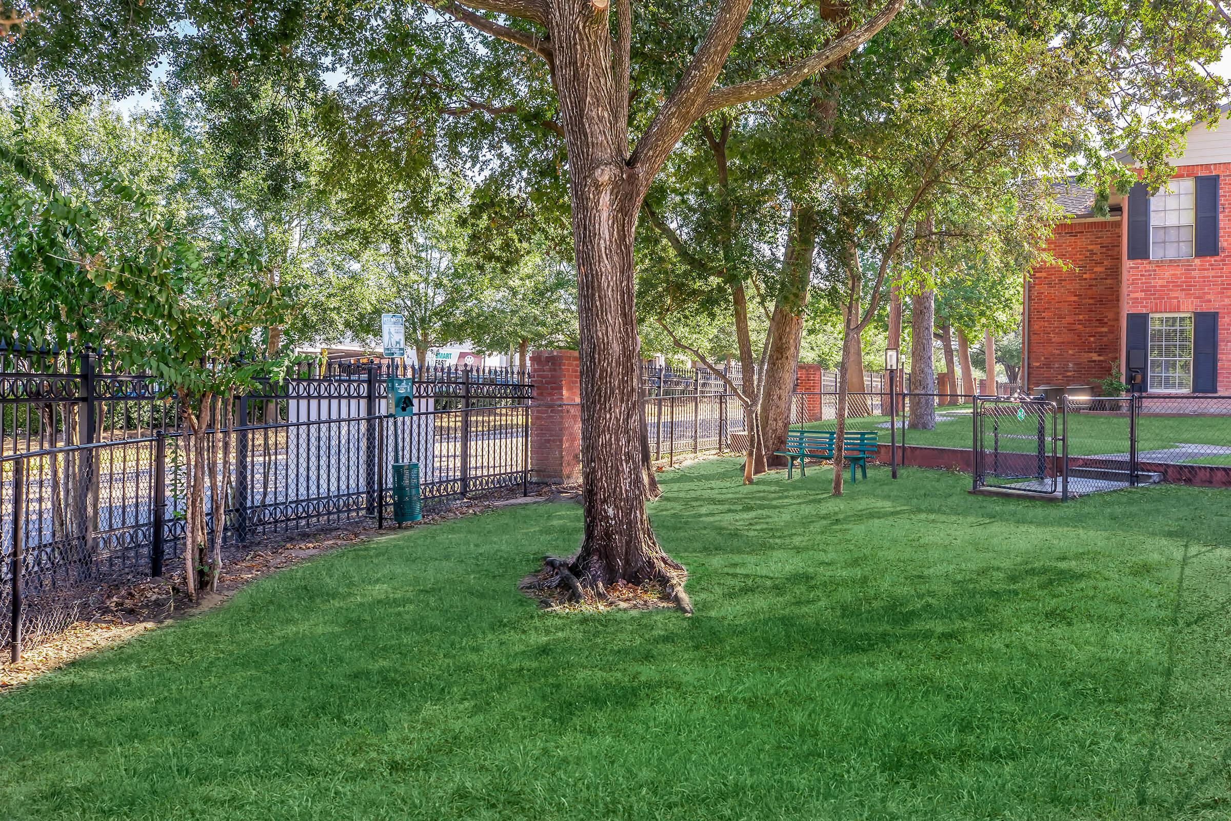 A lush green lawn surrounding a large tree, with a black metal fence in the background. There are green benches near the tree and a brick building with windows visible to the right. The area appears well-maintained and is illuminated by natural light, suggesting a pleasant outdoor setting.