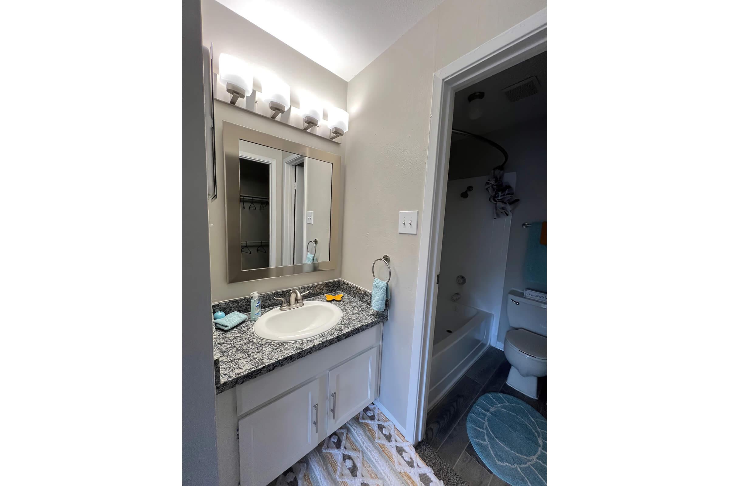 a room with a sink and a mirror