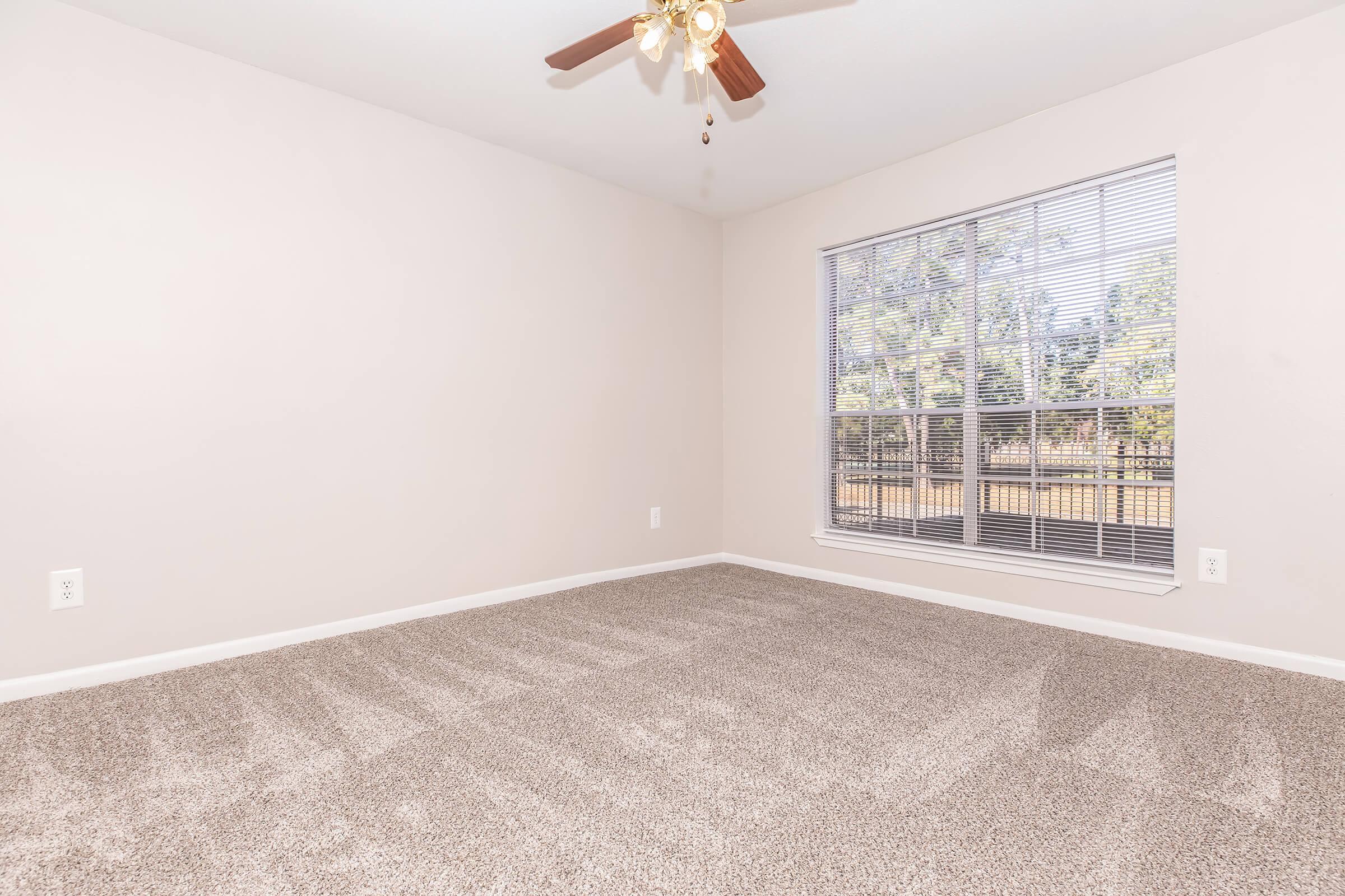 A vacant, light-colored room with a ceiling fan and large window letting in natural light. The floor is covered in plush, beige carpet. The walls are painted in a neutral tone, creating a bright and airy atmosphere. A view of trees is visible outside the window.