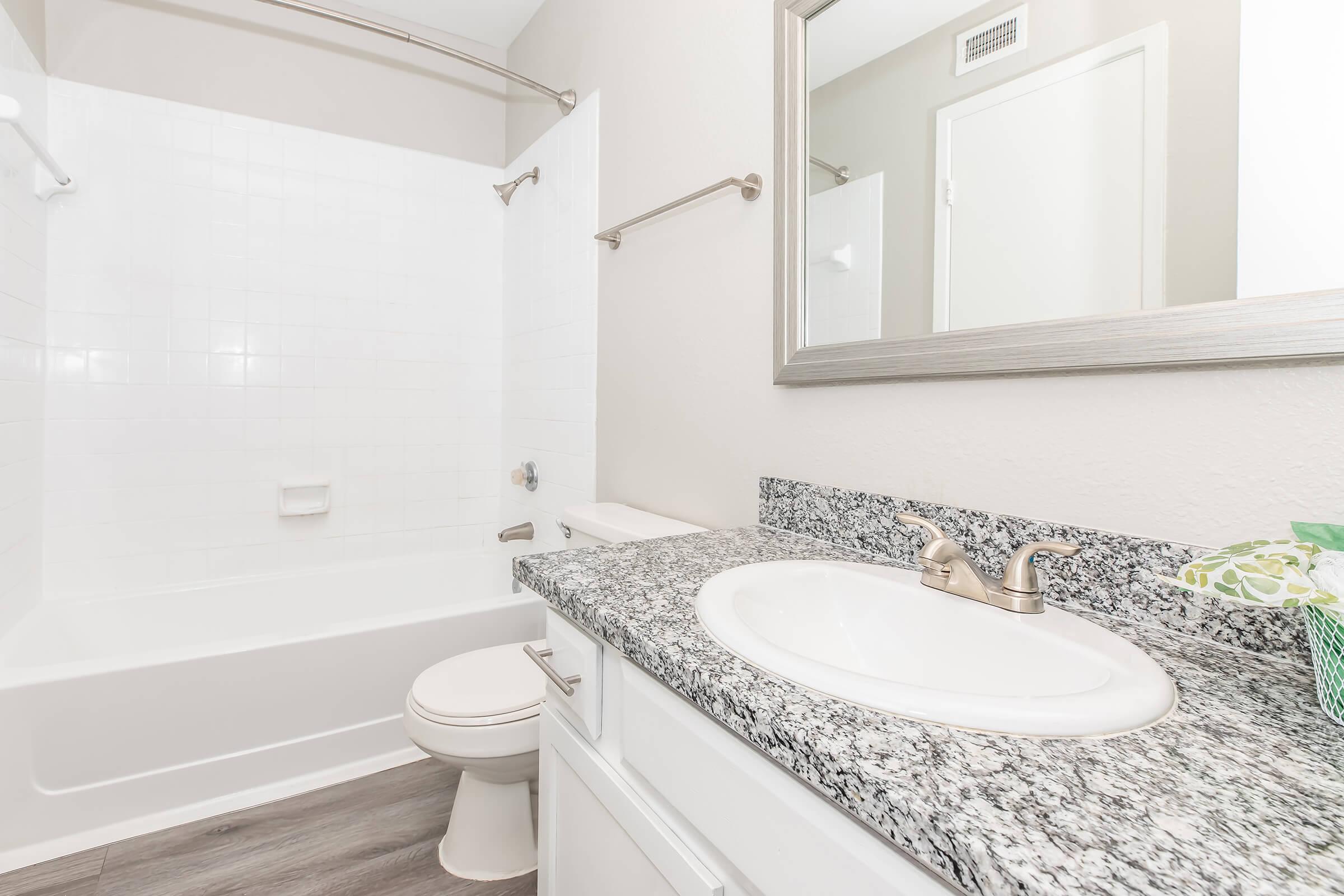 A clean and modern bathroom featuring a white bathtub with a shower, a white toilet, and a granite countertop sink. The walls are painted in a light neutral color, and there is a large mirror above the sink. Towel bars and a small decorative item are visible, contributing to the overall tidy appearance.