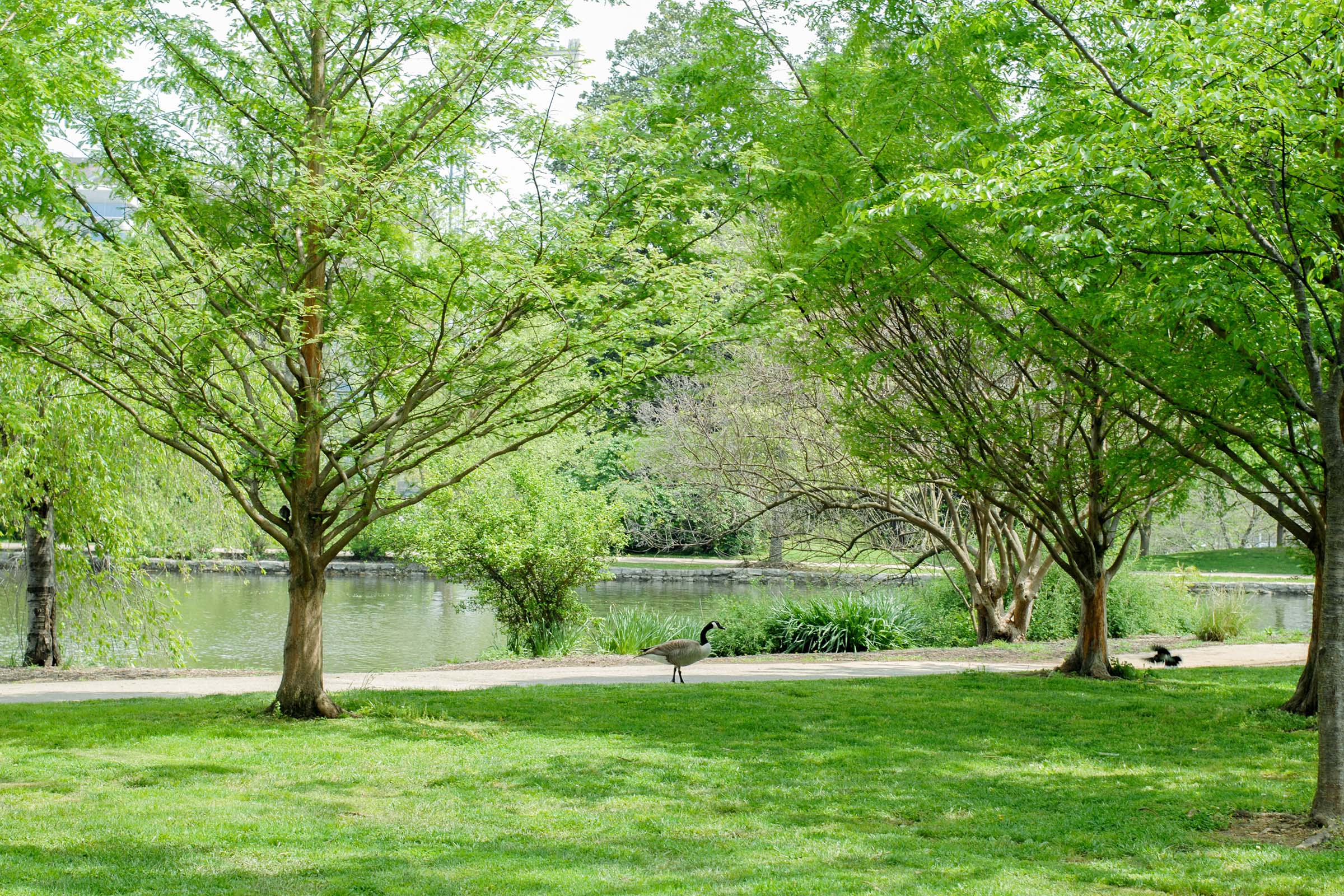 Community Amenities